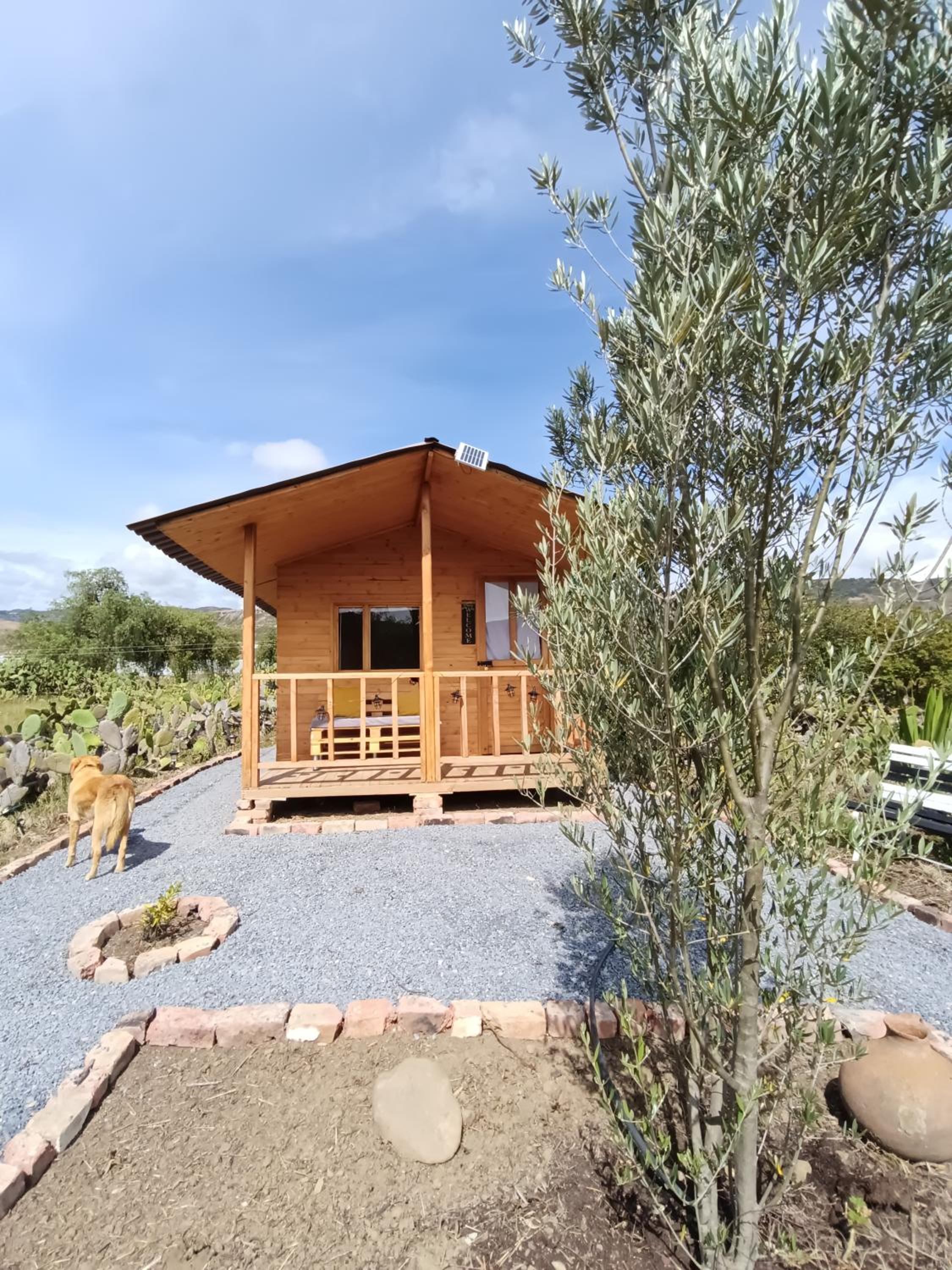 Glamping Entre Nopales - Naturaleza y descanso cerca a Villa de Leyva, mascotas bienvenidas