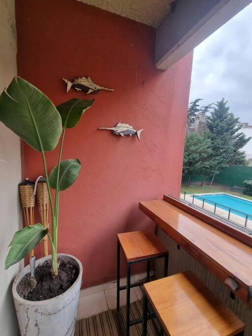 Peaceful apartment 4 Pax