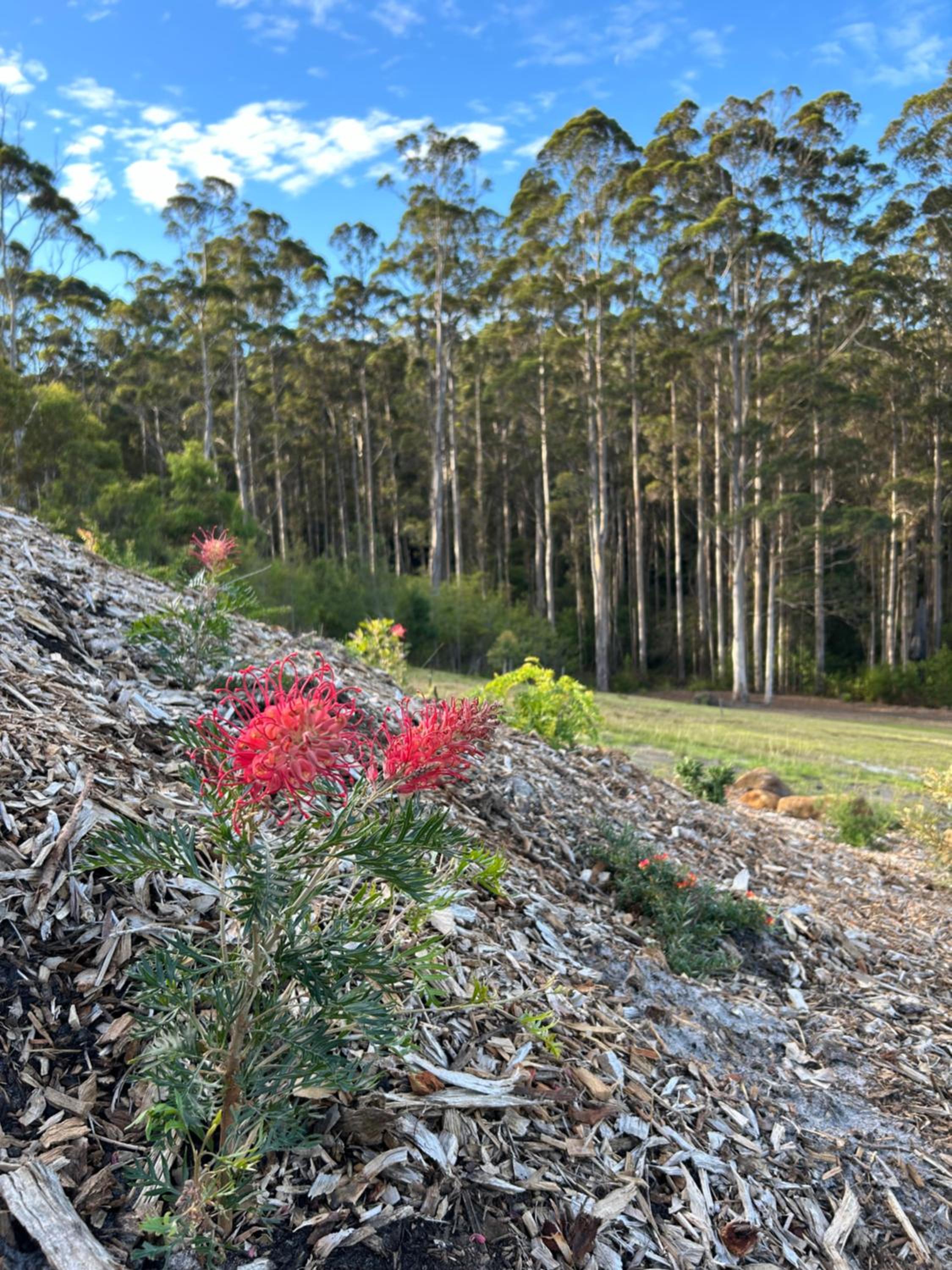 Love - Denmark WA