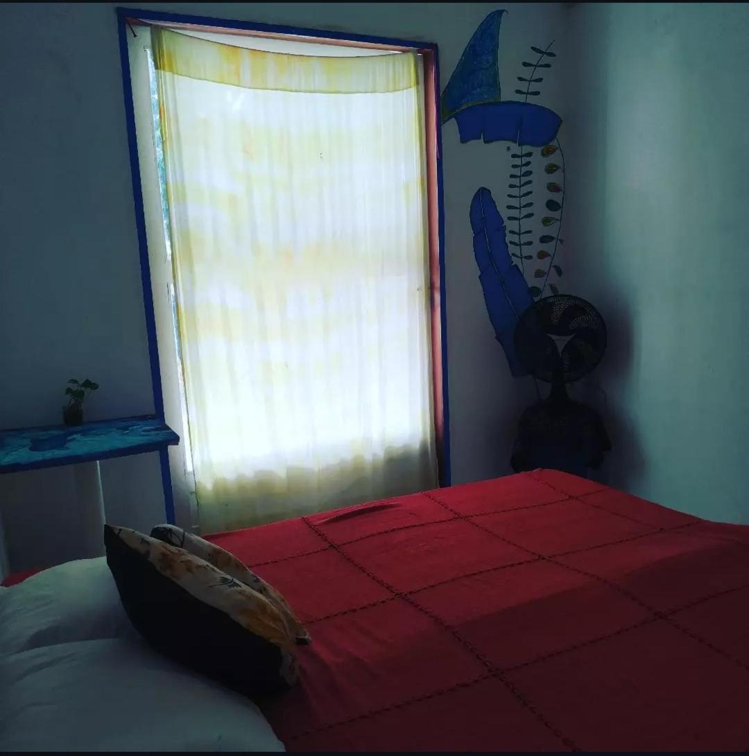 Casinha Blue Pipa