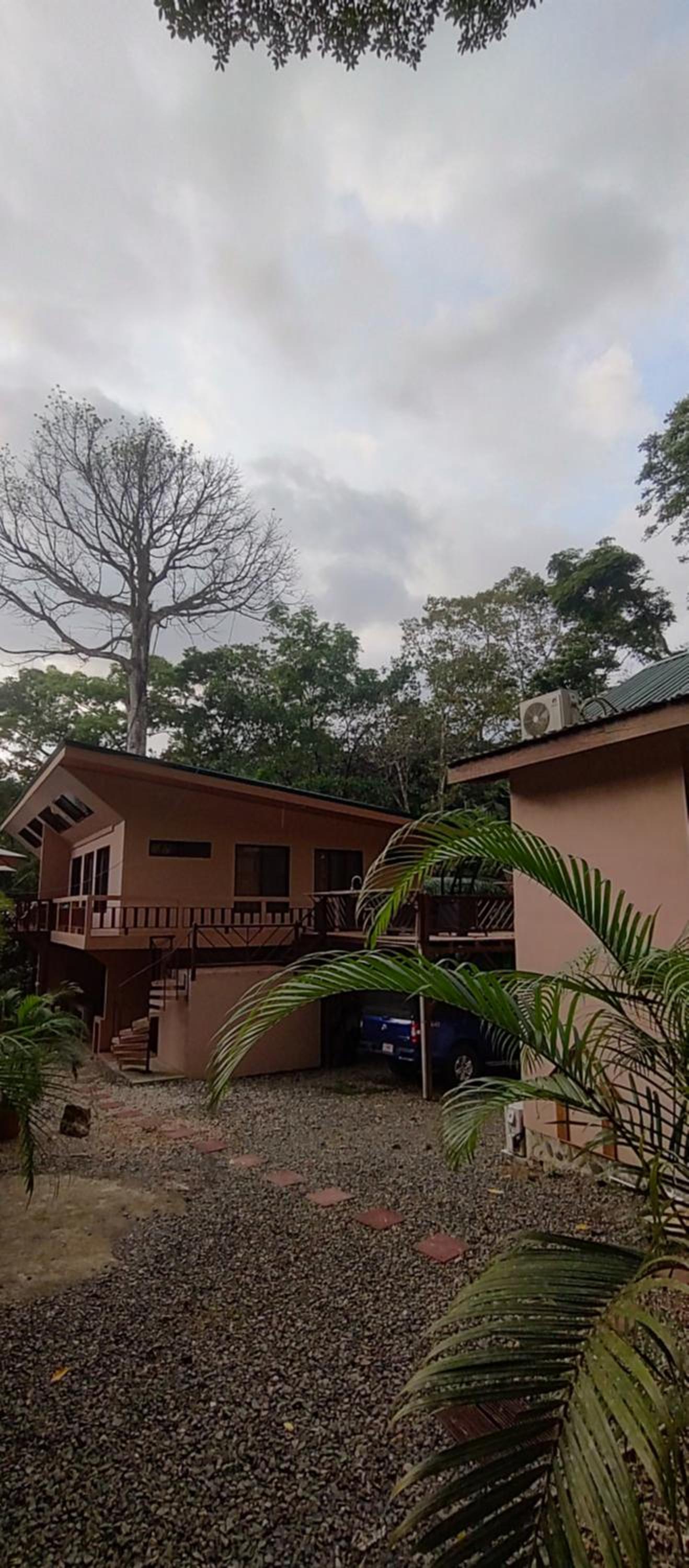 Cool Waters Jungle Deluxe Apartments