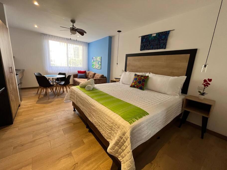 Hotel Dk7-Estudio en Zona Viva - Image 1