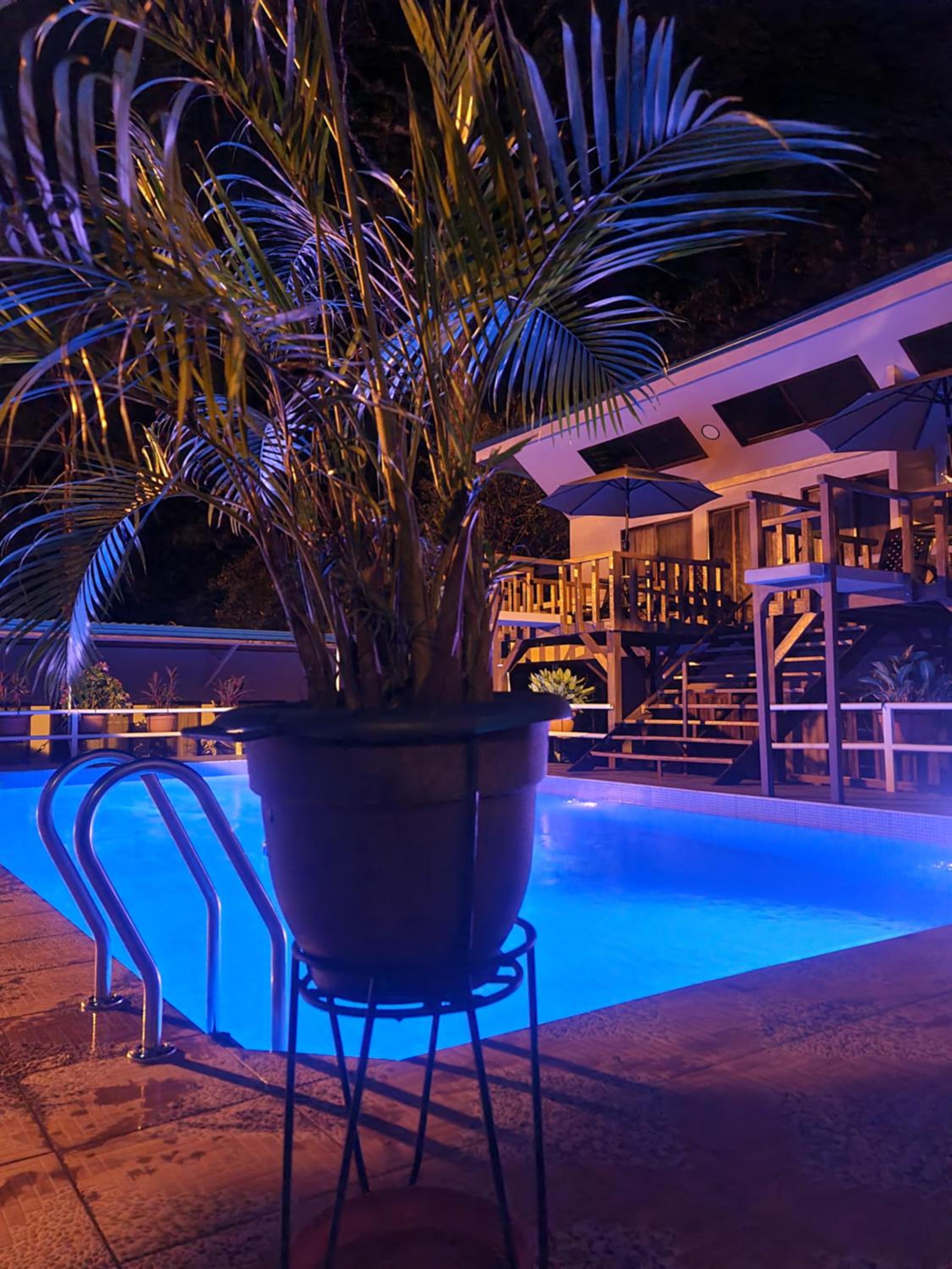 Cool Waters Jungle Deluxe Apartments
