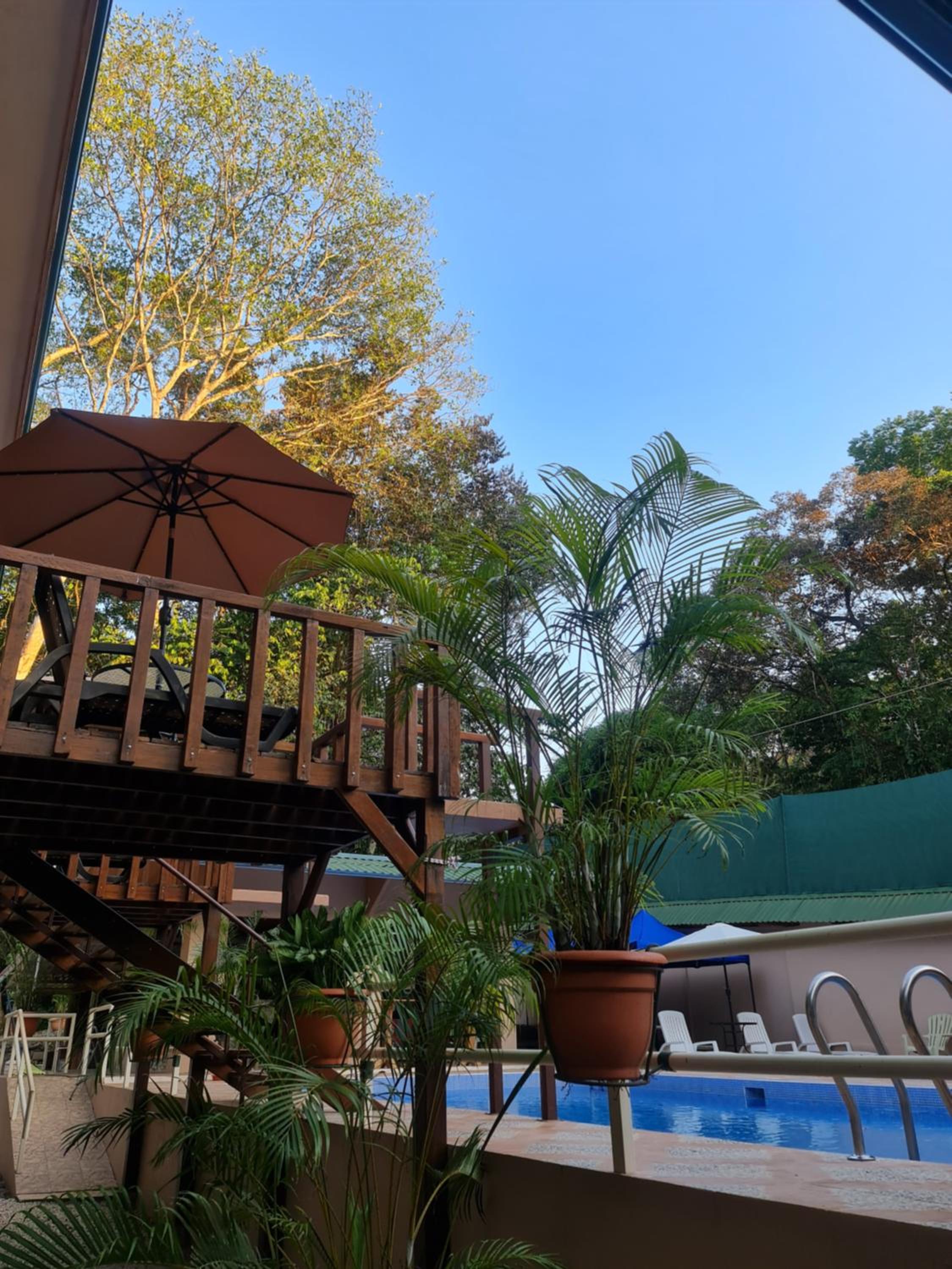Cool Waters Jungle Deluxe Apartments