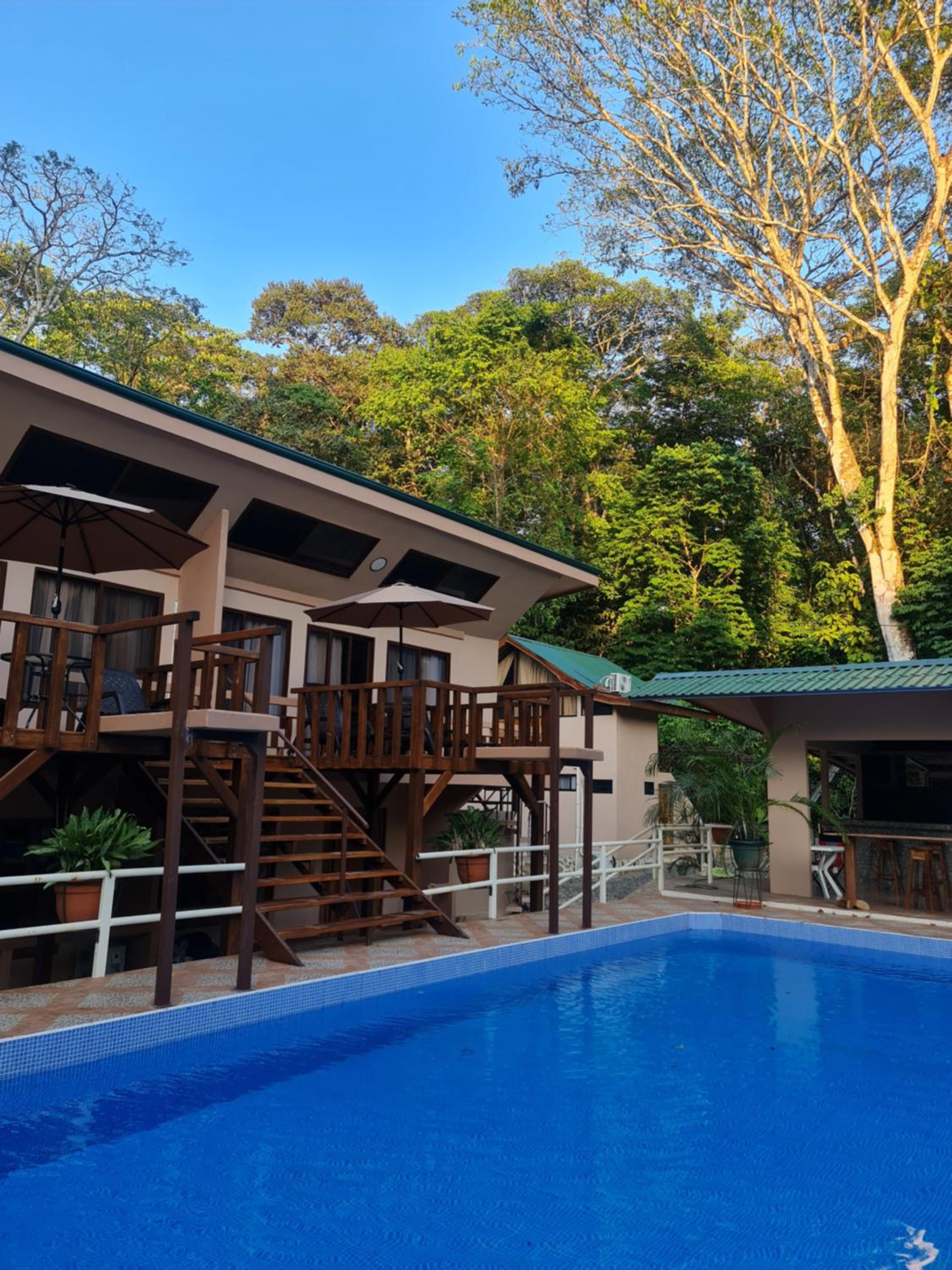 Cool Waters Jungle Deluxe Apartments