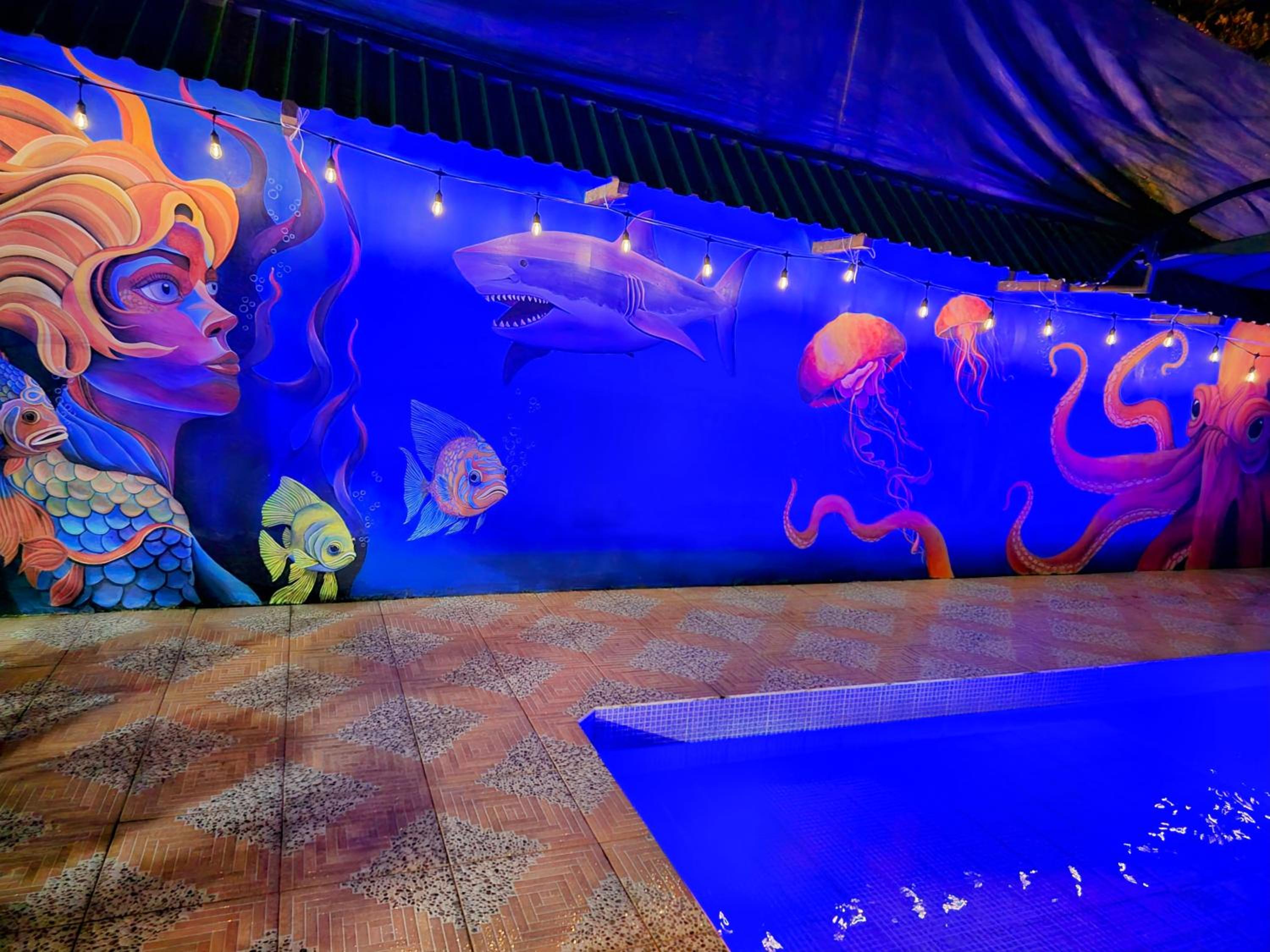 Cool Waters Jungle Deluxe Apartments