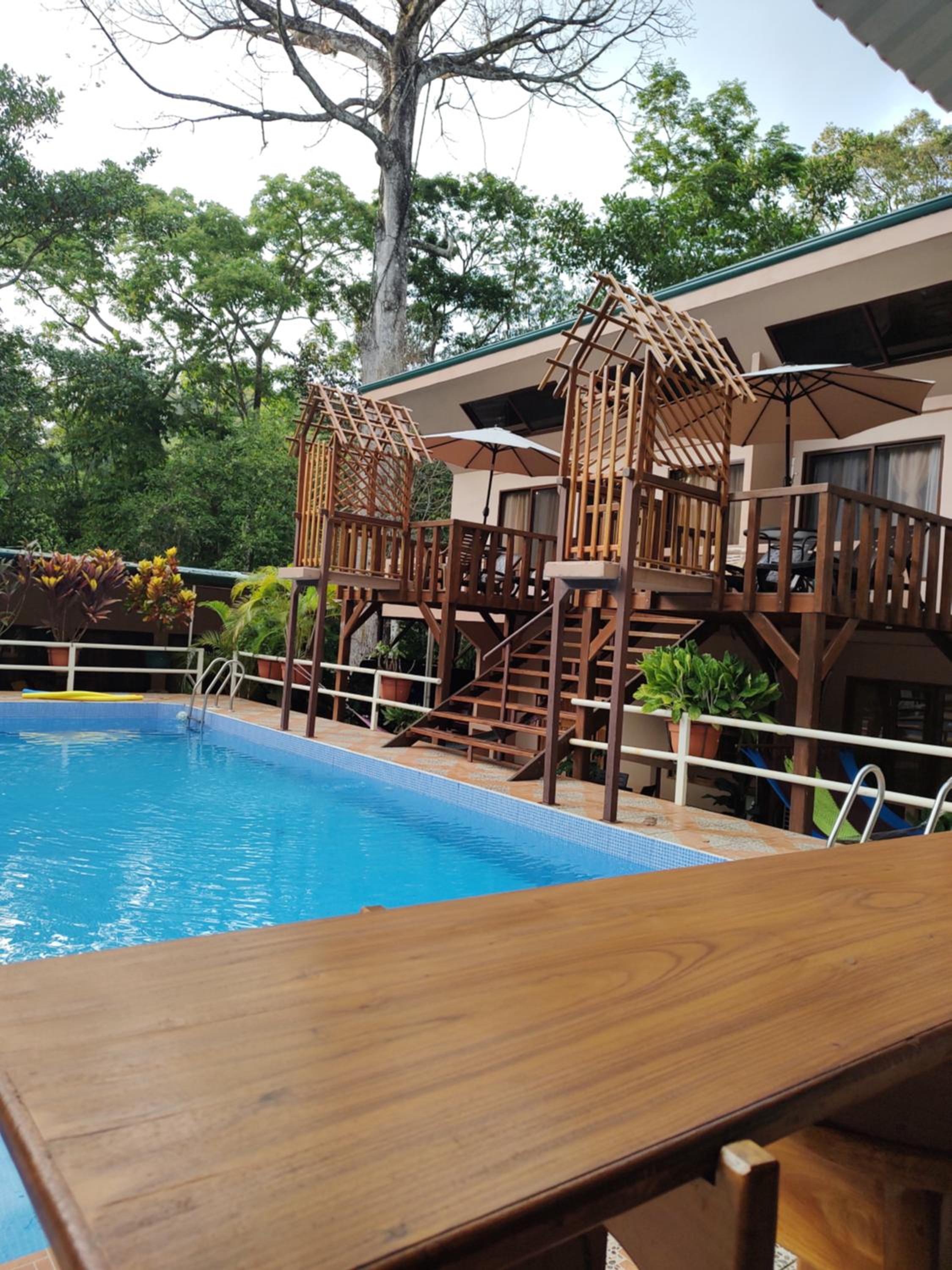 Cool Waters Jungle Deluxe Apartments