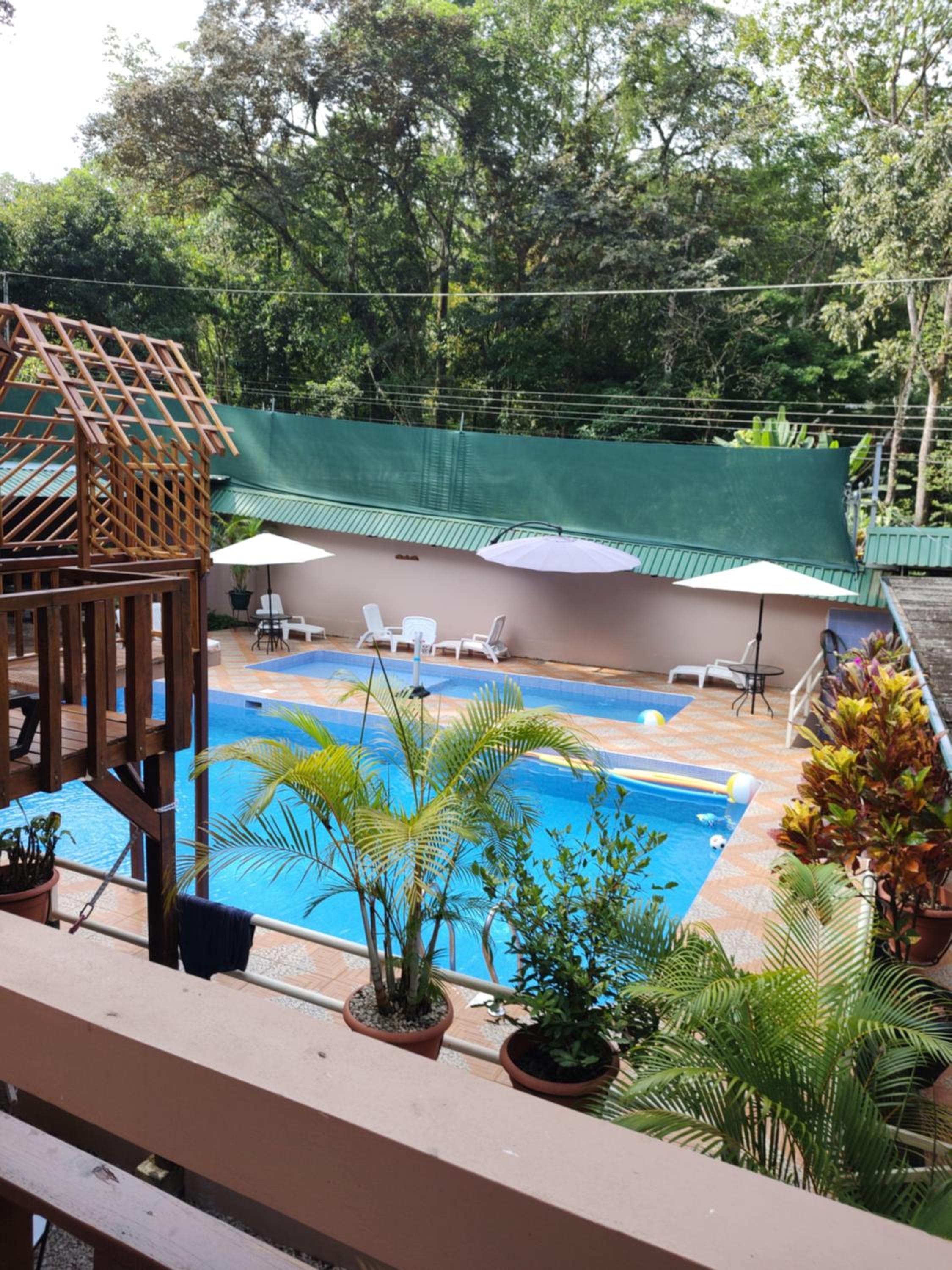 Cool Waters Jungle Deluxe Apartments