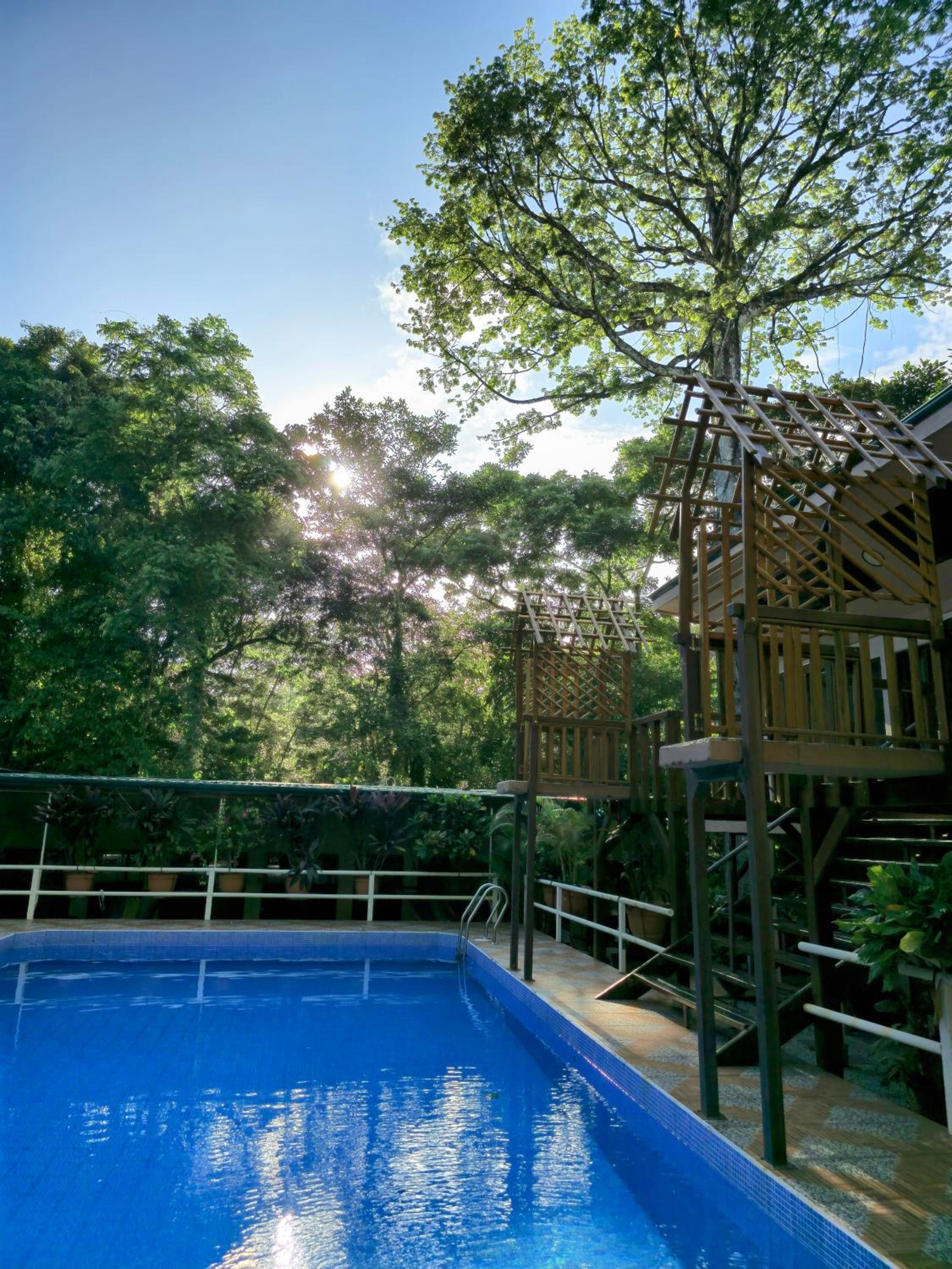 Cool Waters Jungle Deluxe Apartments