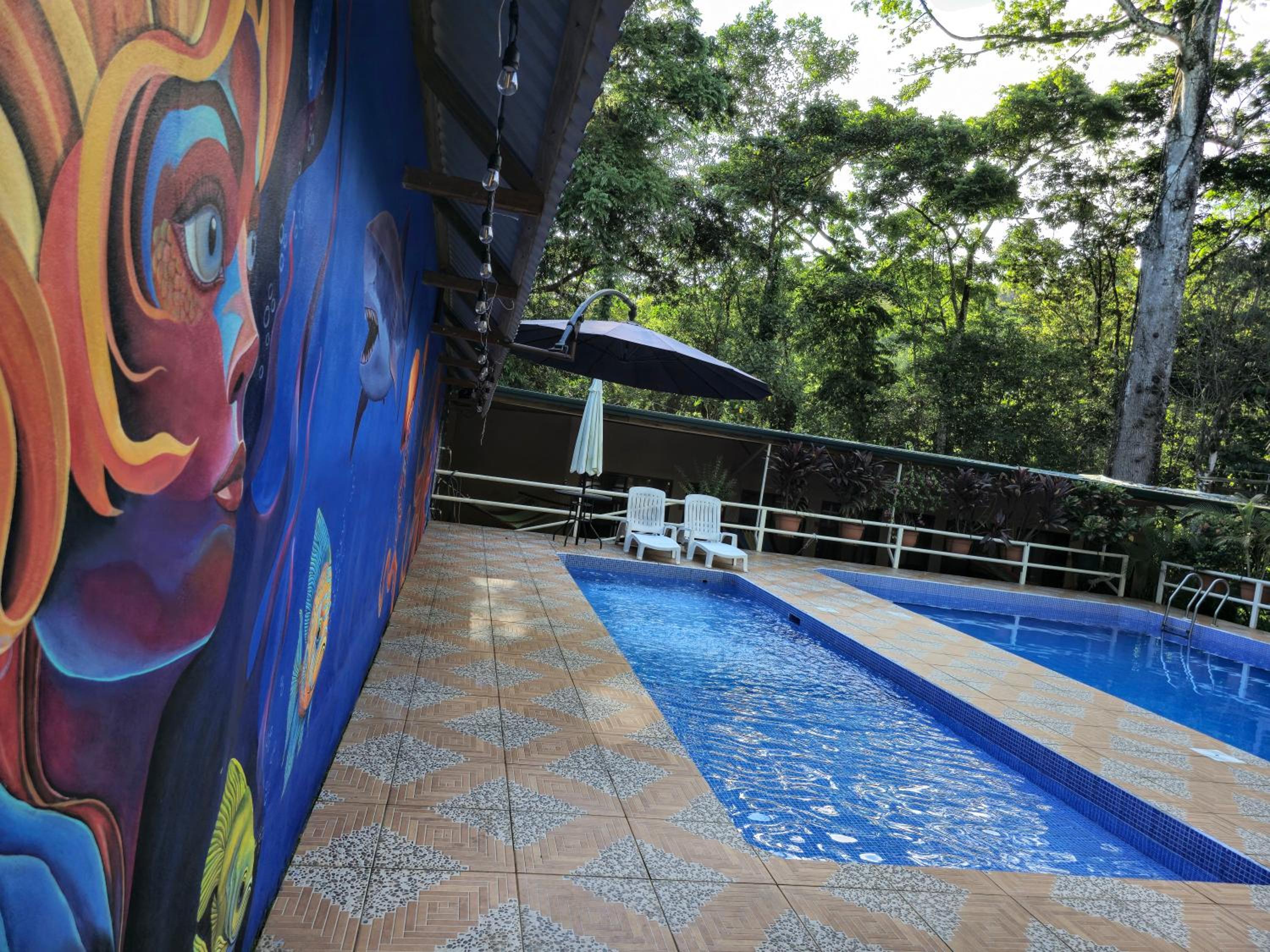Cool Waters Jungle Deluxe Apartments