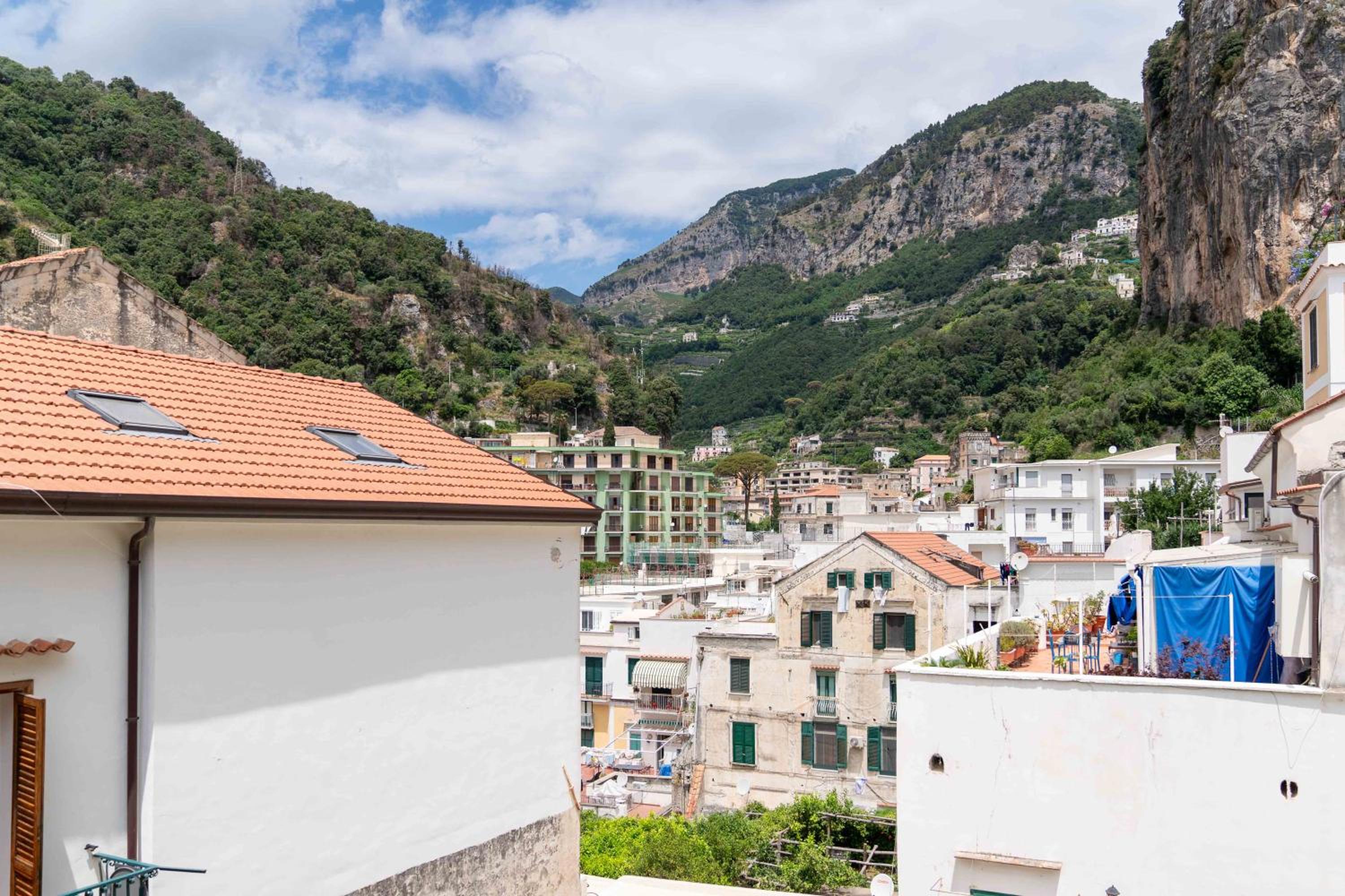 Il gatto Franco photo 2