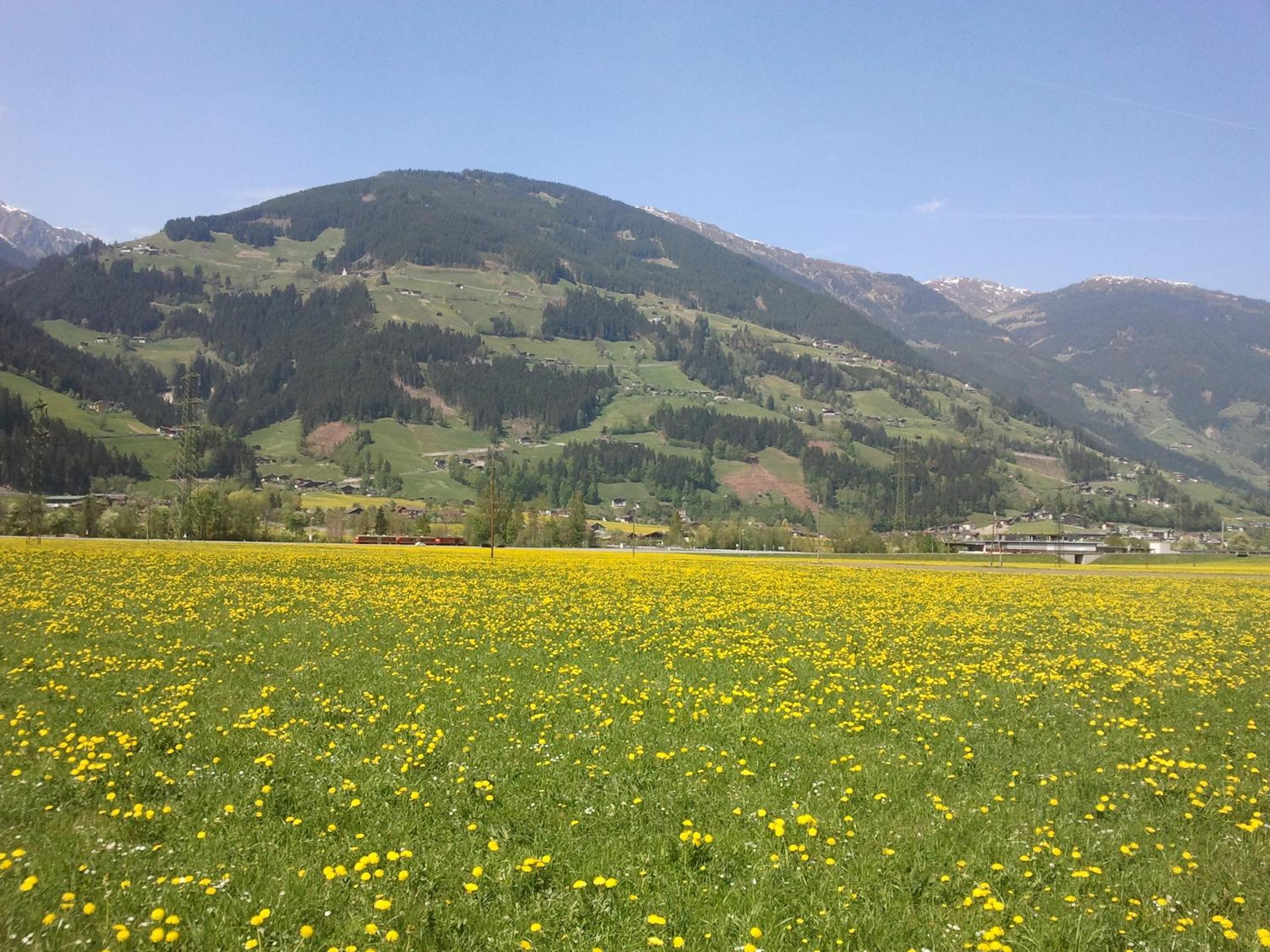 Photo 24