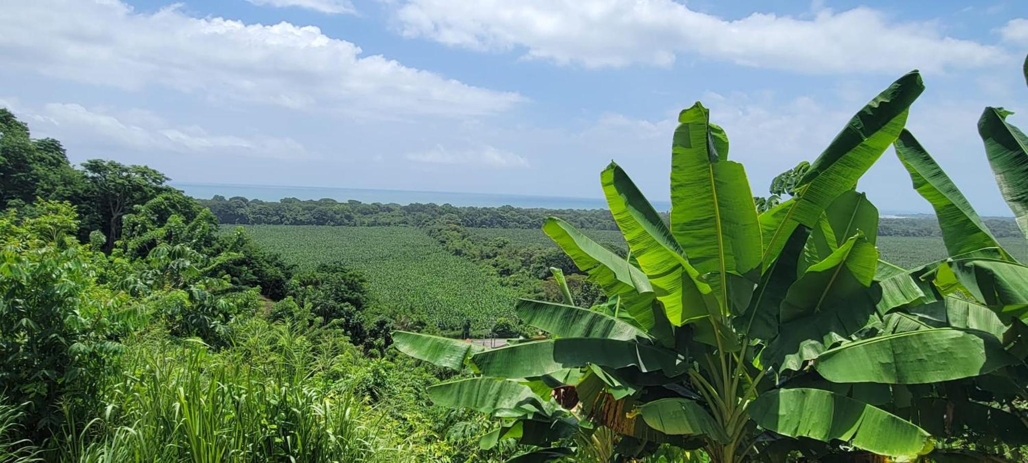 PromisedLand Casa Finca Tayrona