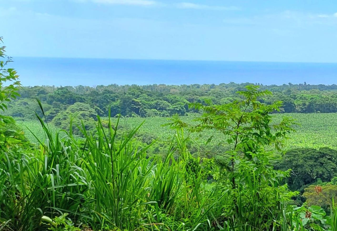 PromisedLand Casa Finca Tayrona