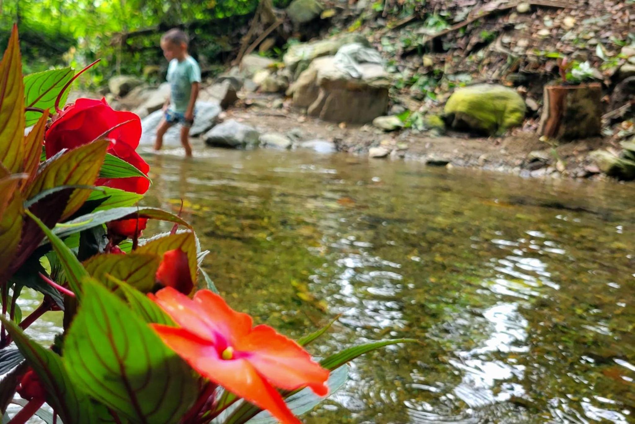 PromisedLand Casa Finca Tayrona