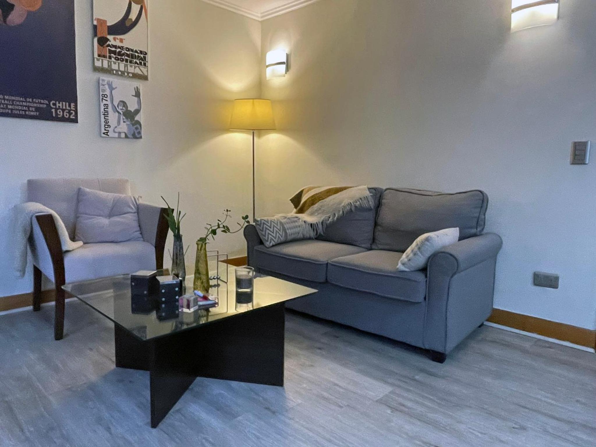 Barrio Lastarria, Excelentes Apartamentos - Sofia Camilla Propiedades