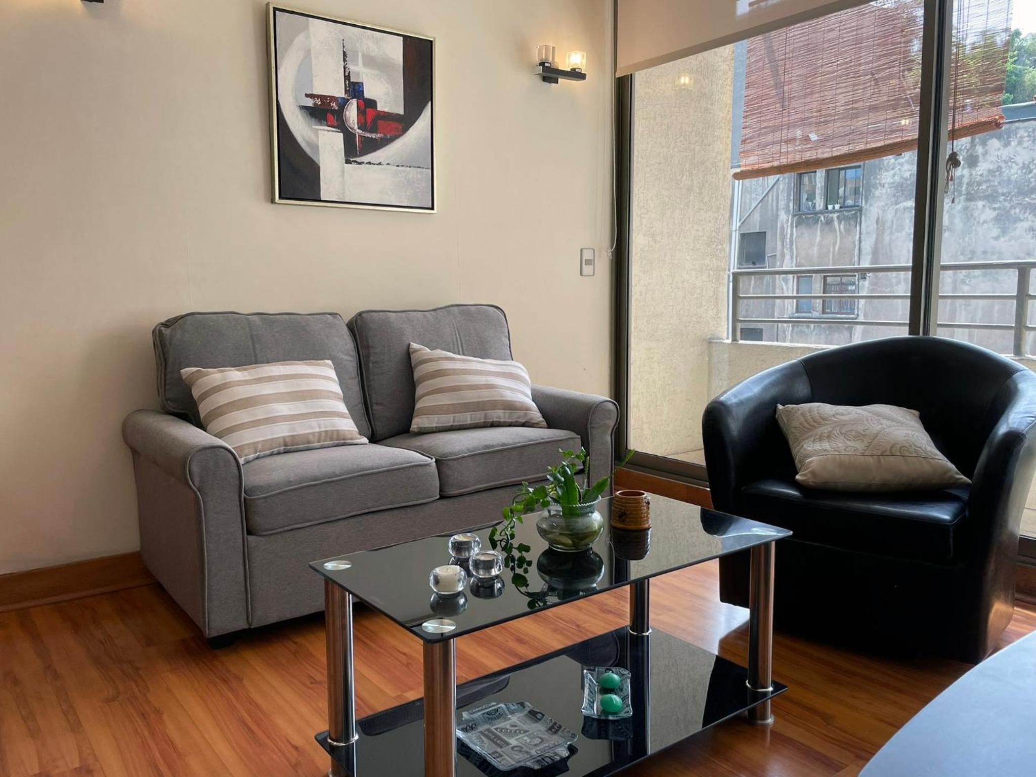 Barrio Lastarria, Excelentes Apartamentos - Sofia Camilla Propiedades