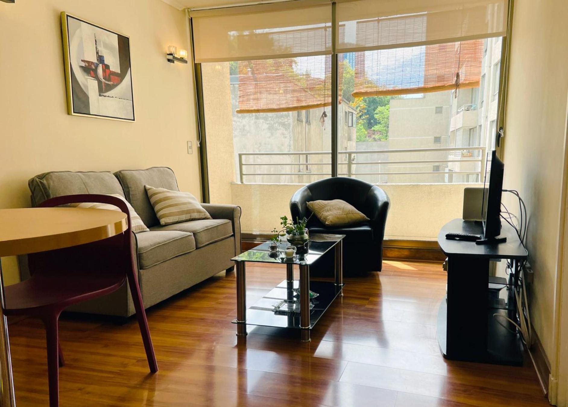 Barrio Lastarria, Excelentes Apartamentos - Sofia Camilla Propiedades