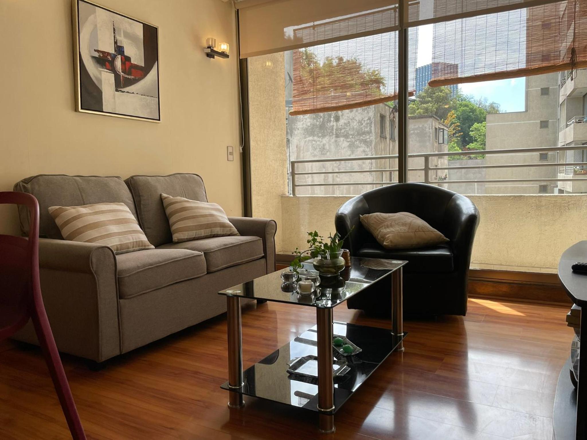Barrio Lastarria, Excelentes Apartamentos - Sofia Camilla Propiedades