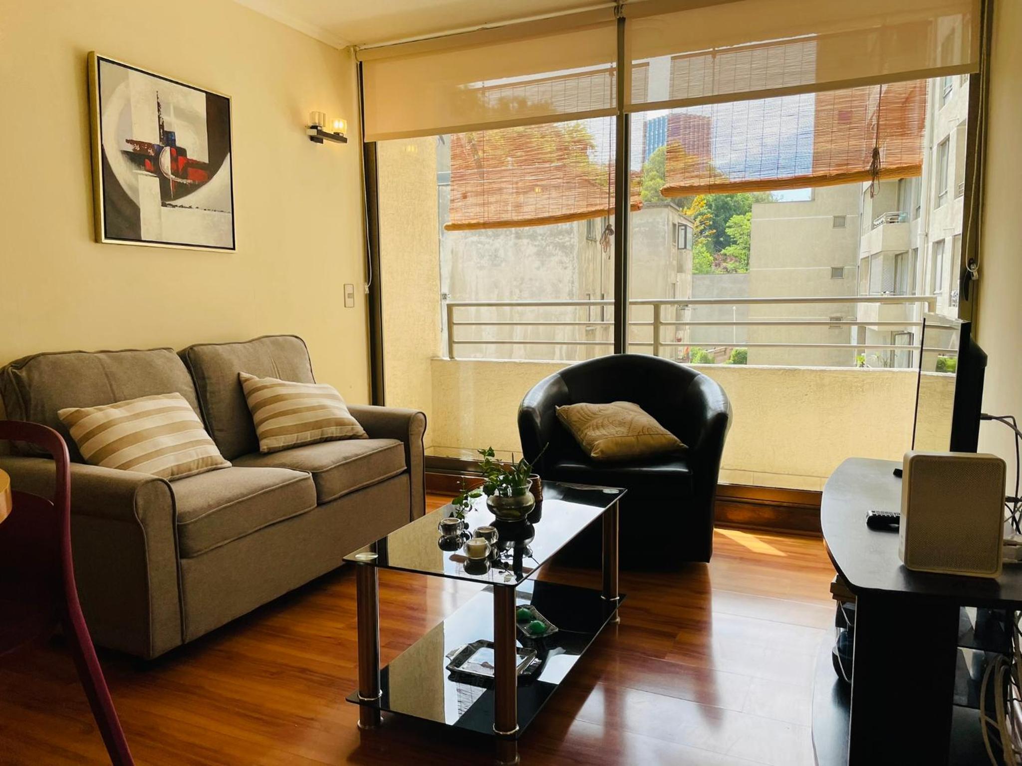 Barrio Lastarria, Excelentes Apartamentos - Sofia Camilla Propiedades