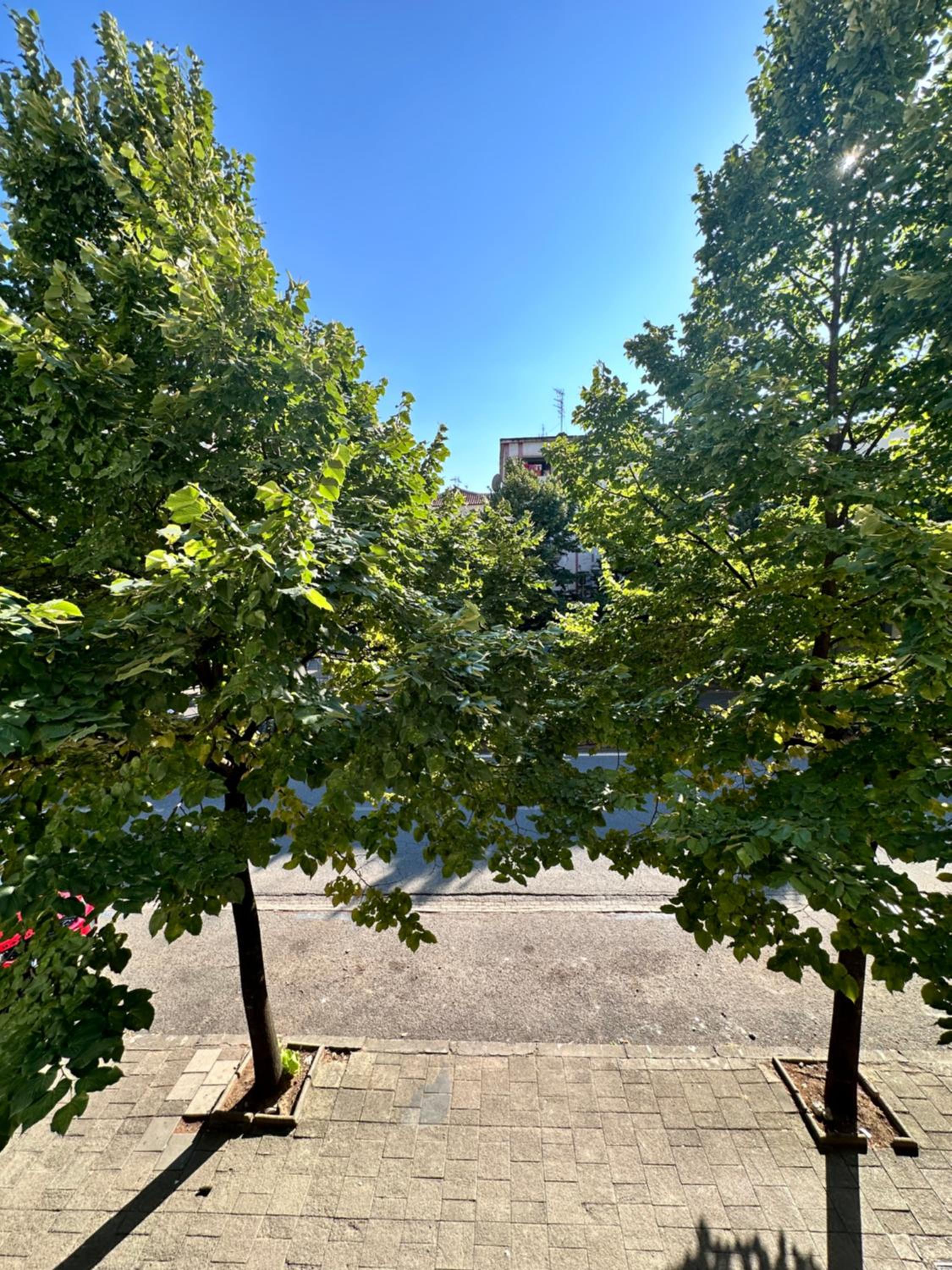 Sophia Daily Apartments