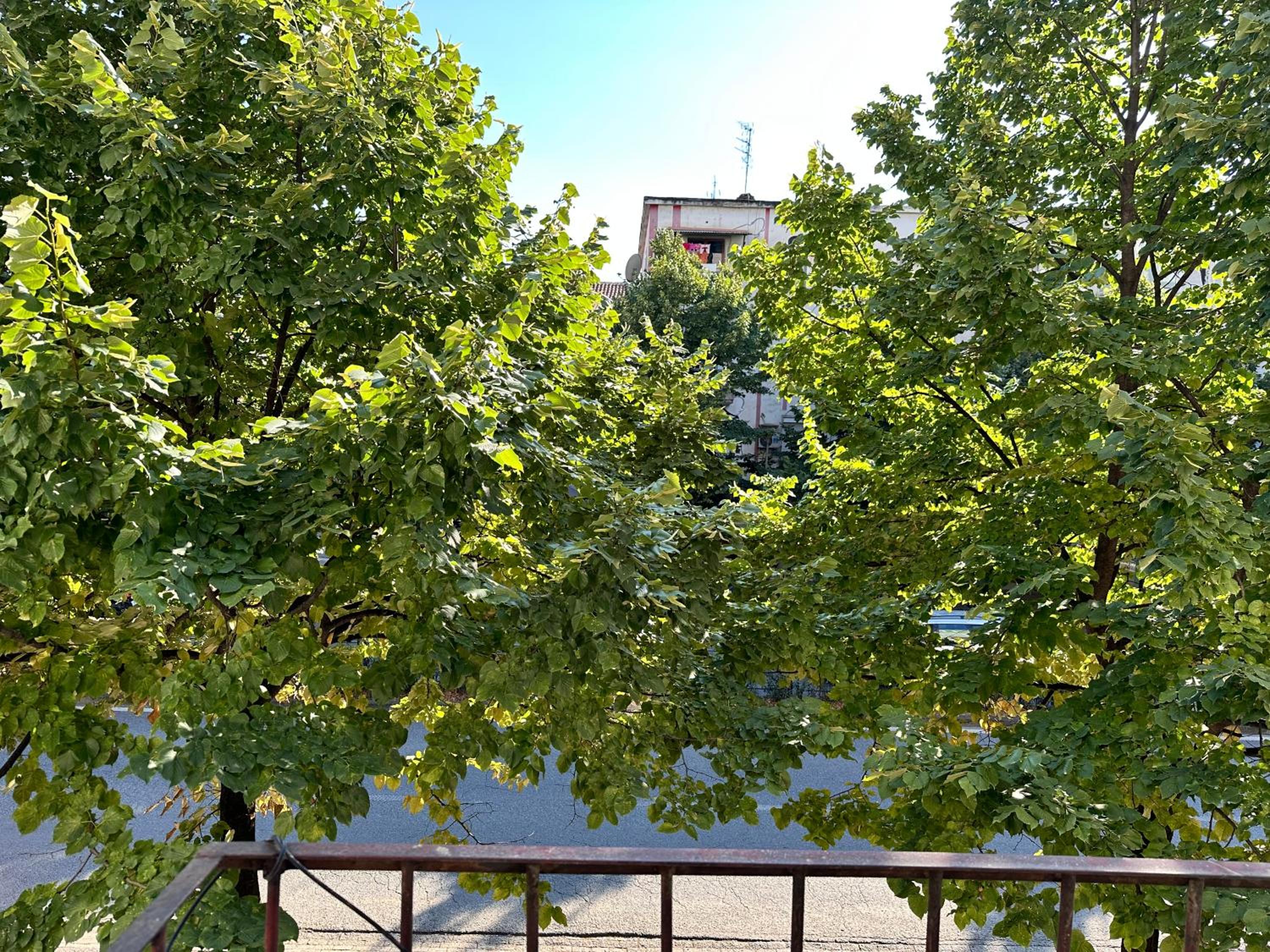 Sophia Daily Apartments