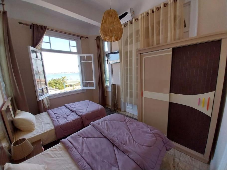 Alexander, bahary downtown