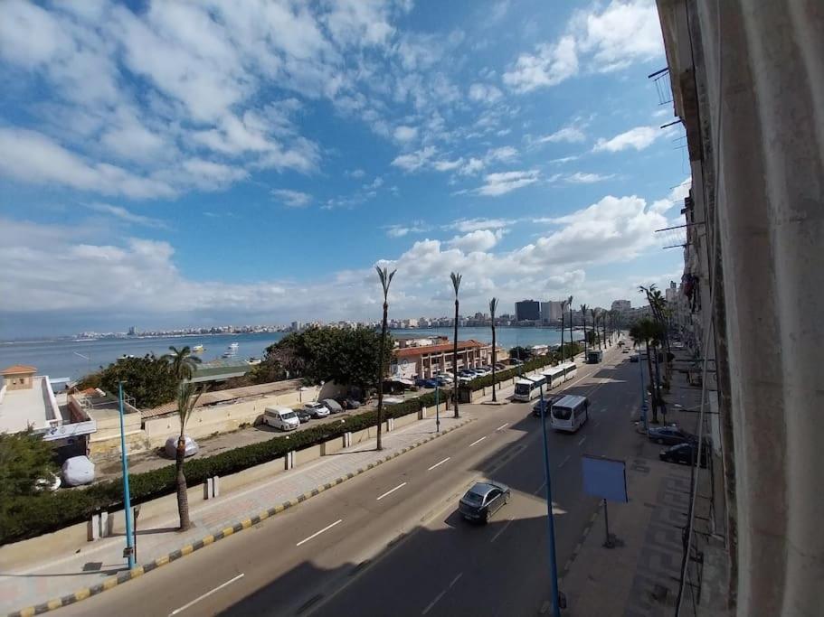 Alexander, bahary downtown