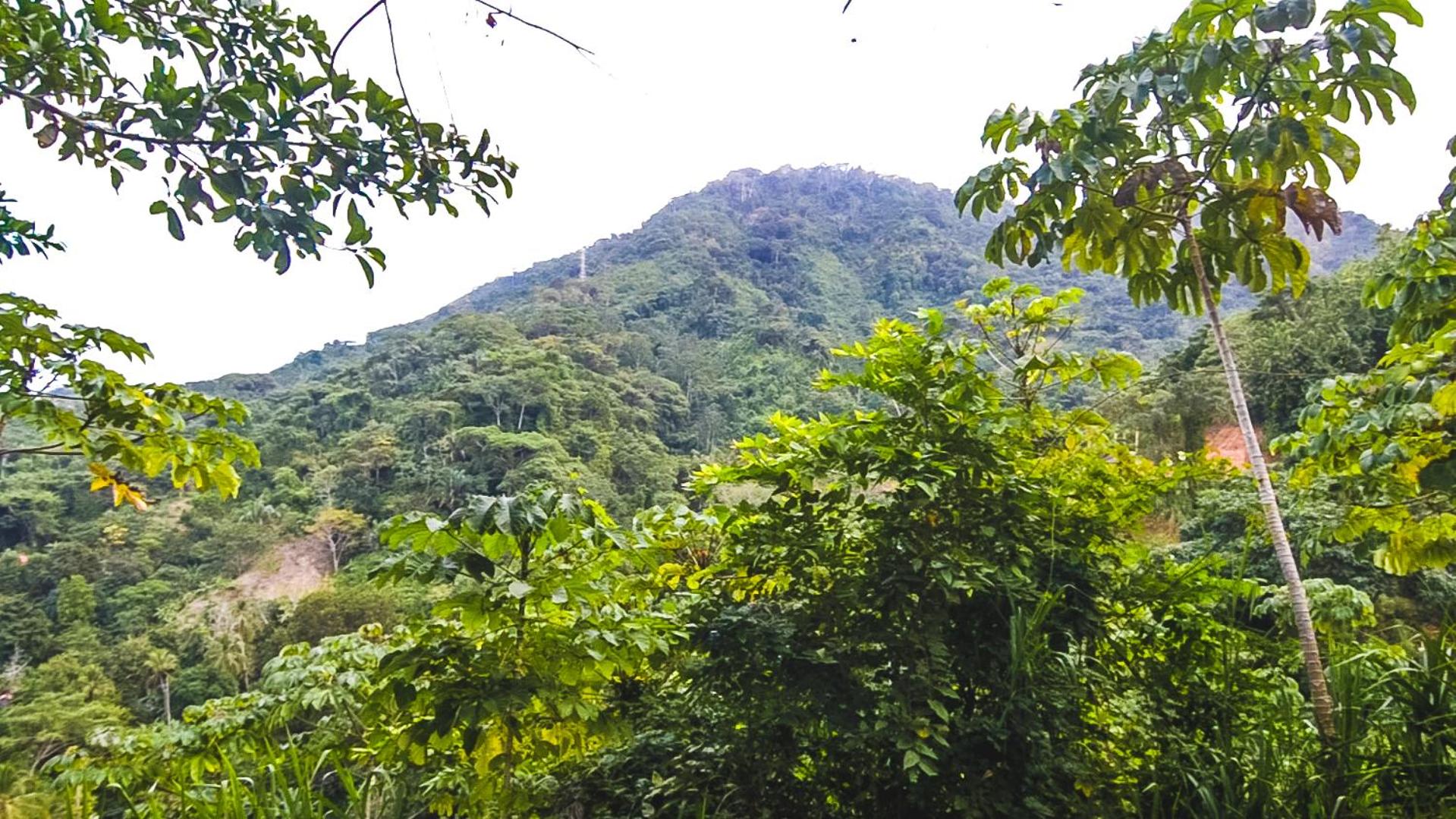PromisedLand Casa Finca Tayrona
