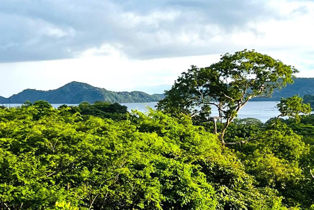 Casa del Artista 4bed,4 bath Ocean view home