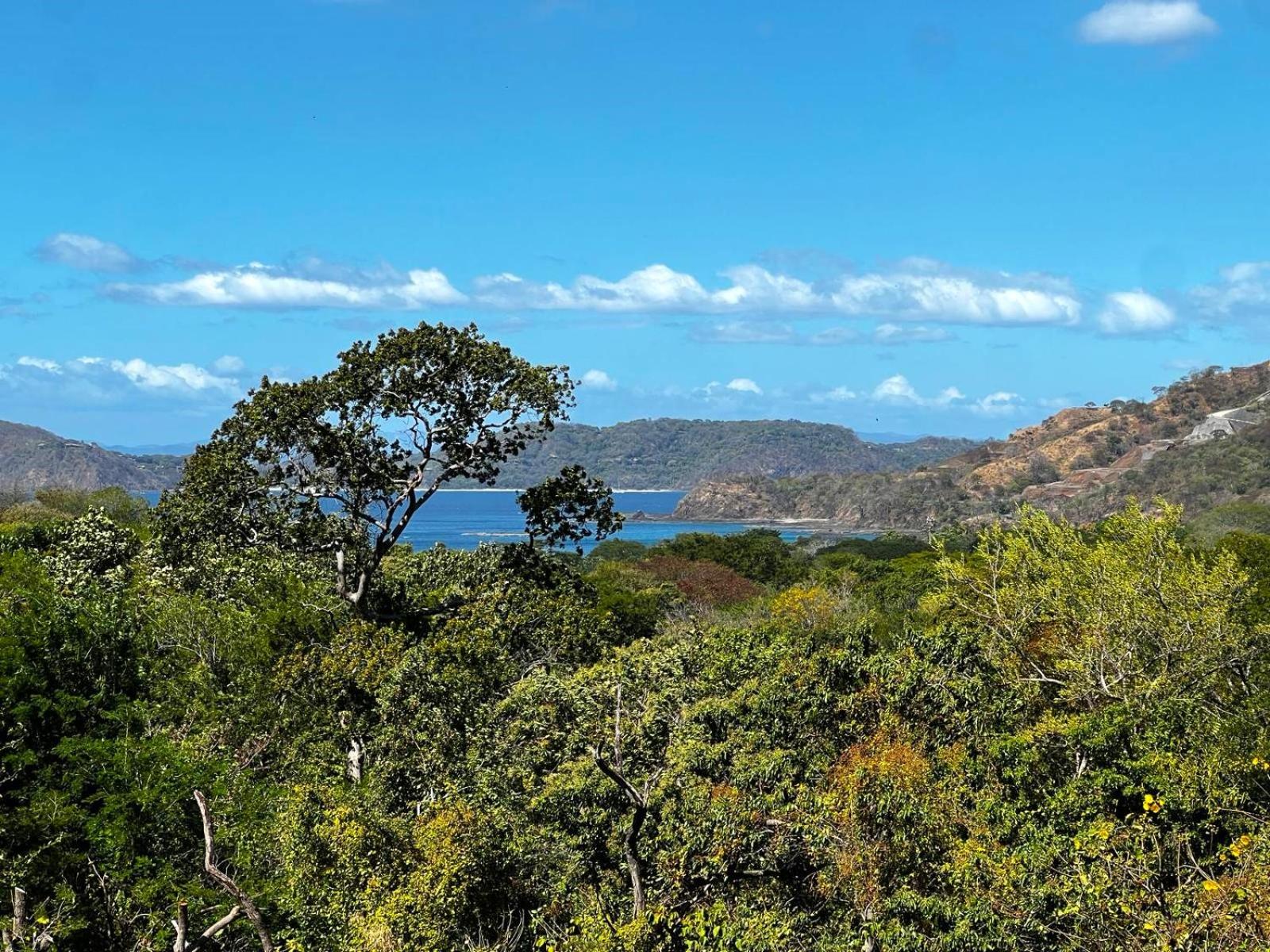 Casa del Artista 4bed,4 bath Ocean view home