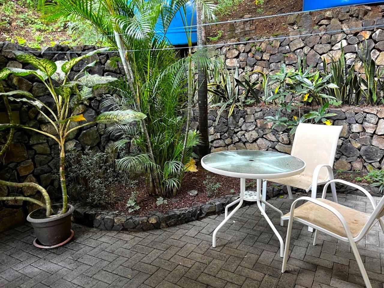 Casa del Artista 4bed,4 bath Ocean view home