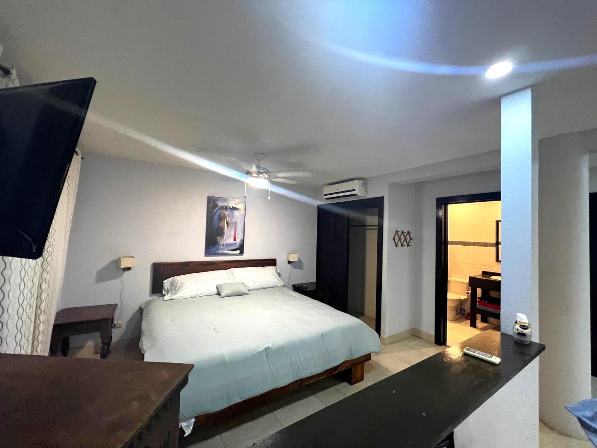 Casa del Artista 4bed,4 bath Ocean view home
