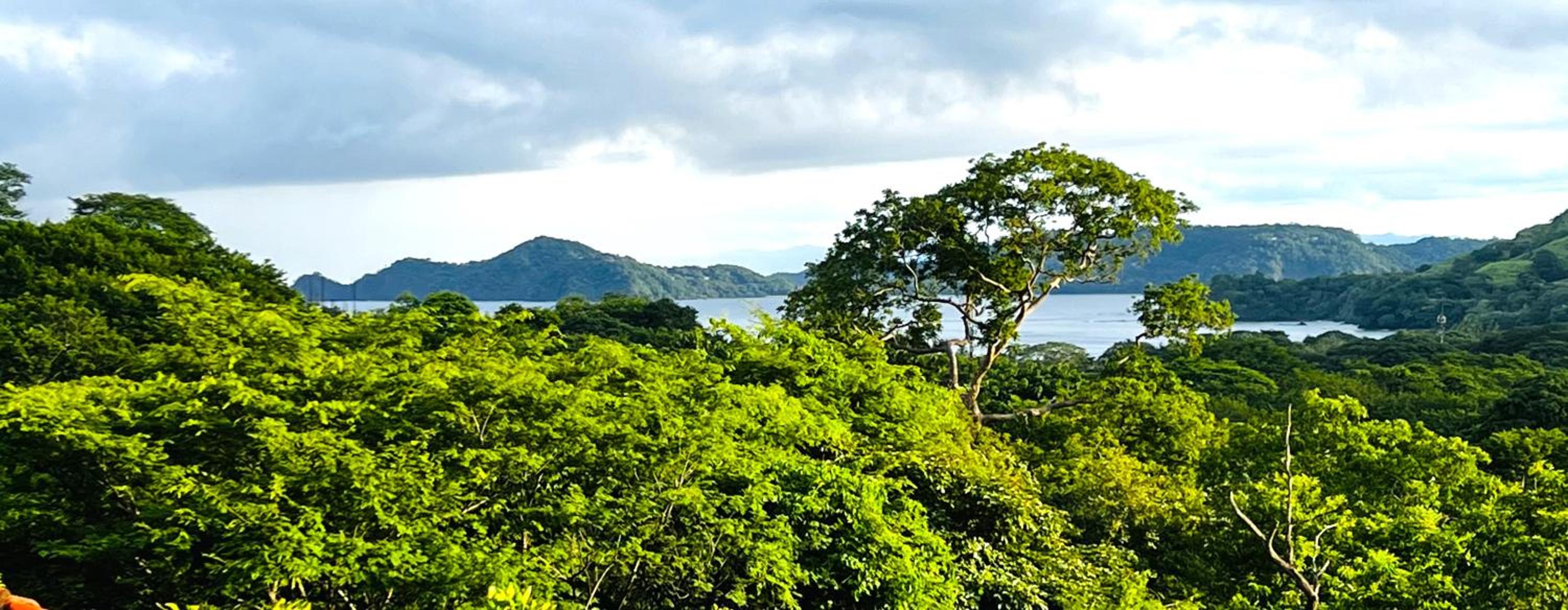 Casa del Artista 4bed,4 bath Ocean view home