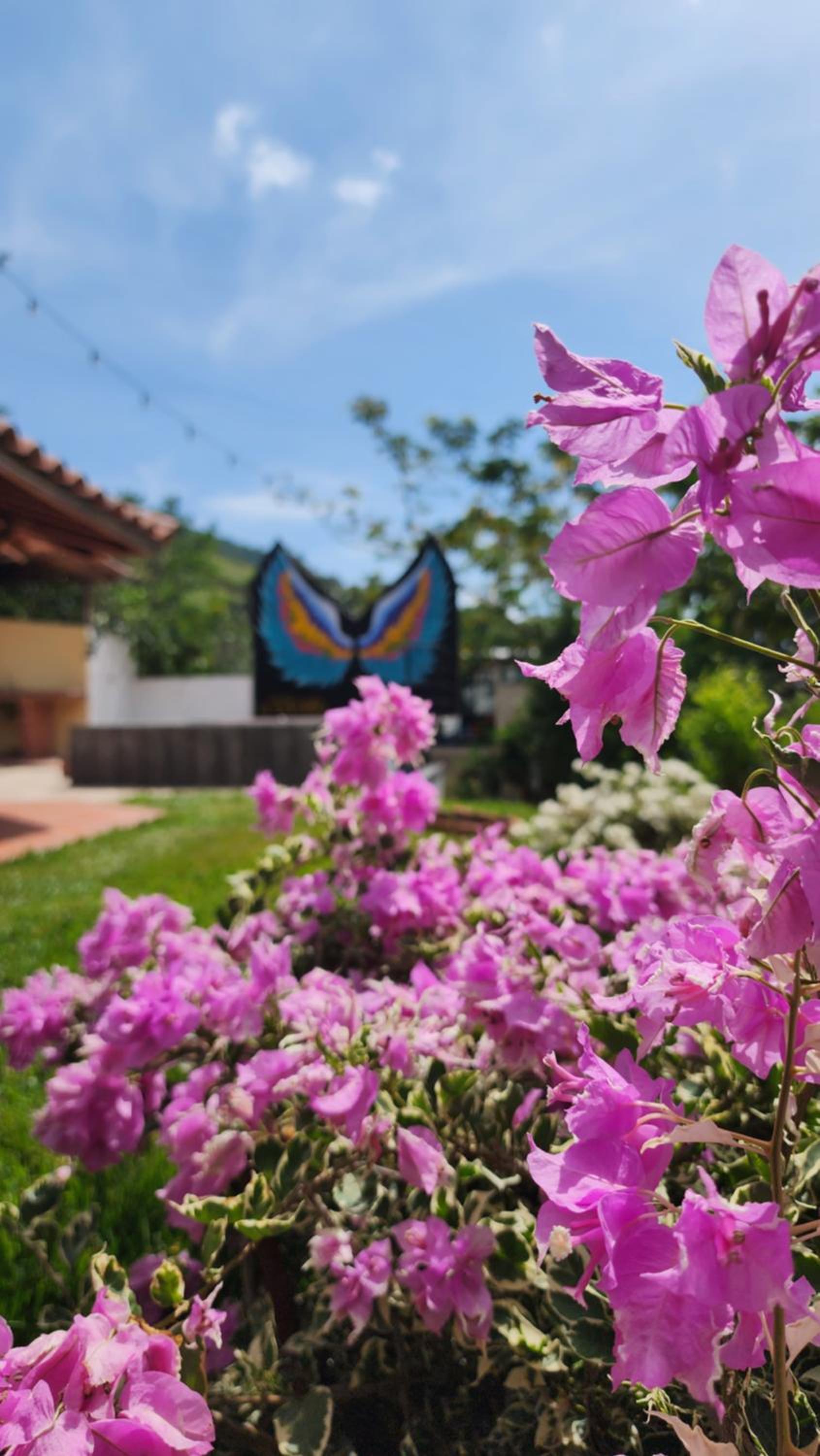 Hospedaje Campestre El Manantial