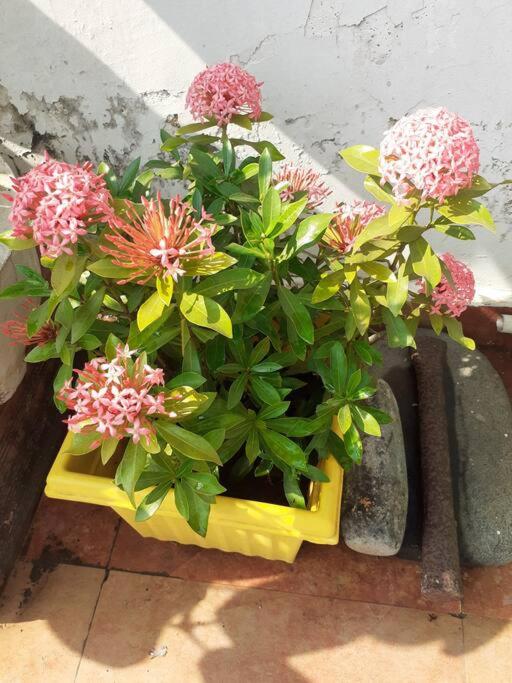 Beautiful GardenTerrace 2 Bhk in Posh city center view 3