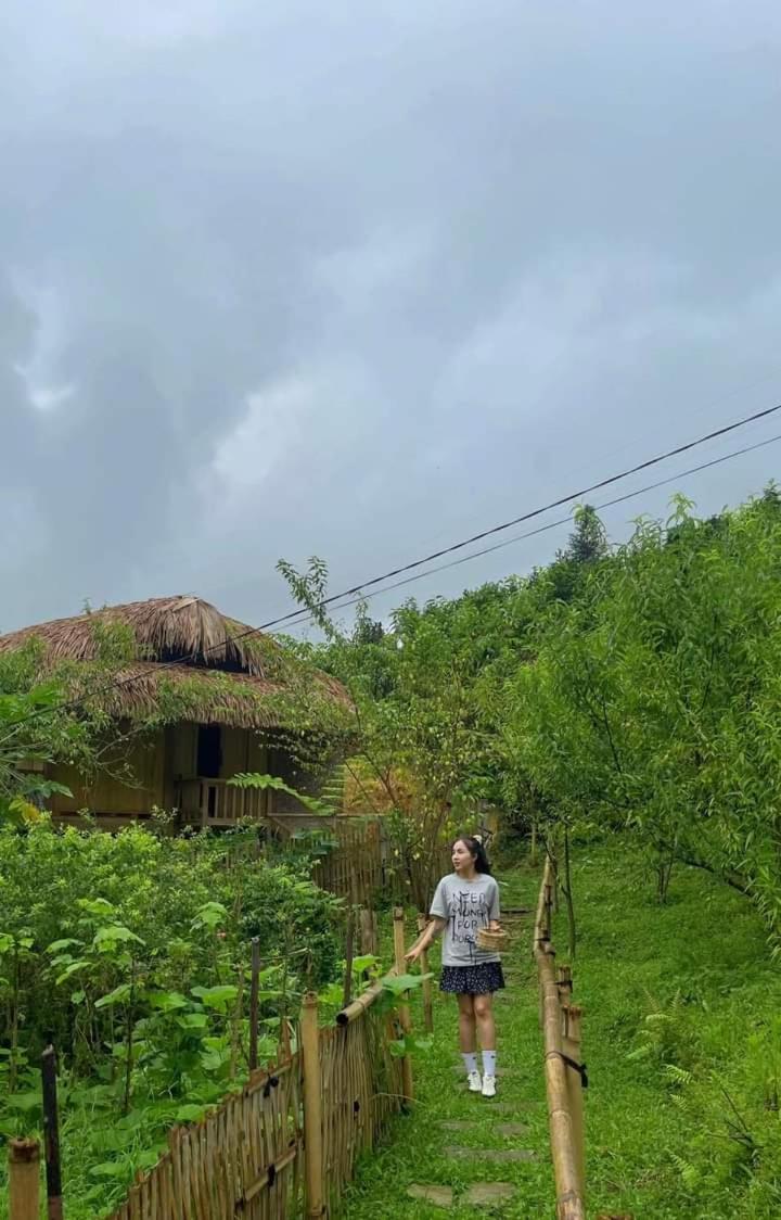 Ban Lien Pine Homestay view 3
