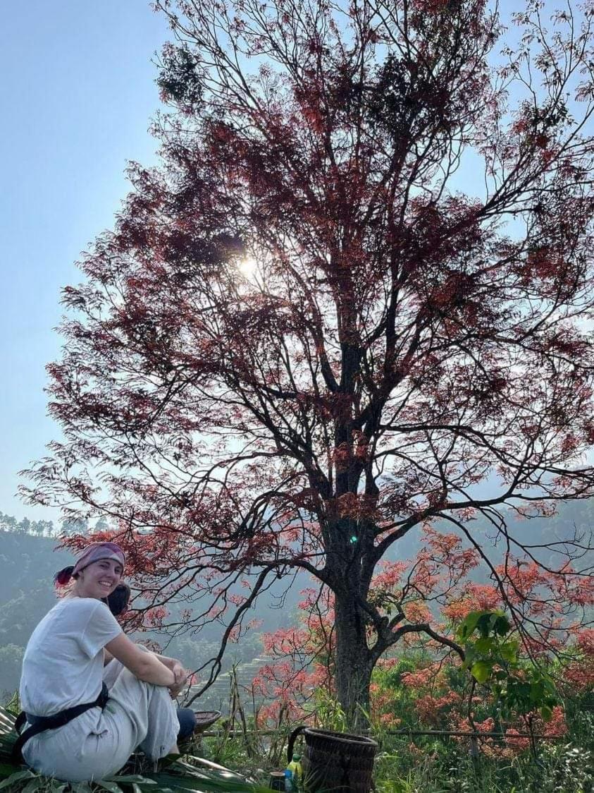 Ban Lien Pine Homestay view 2