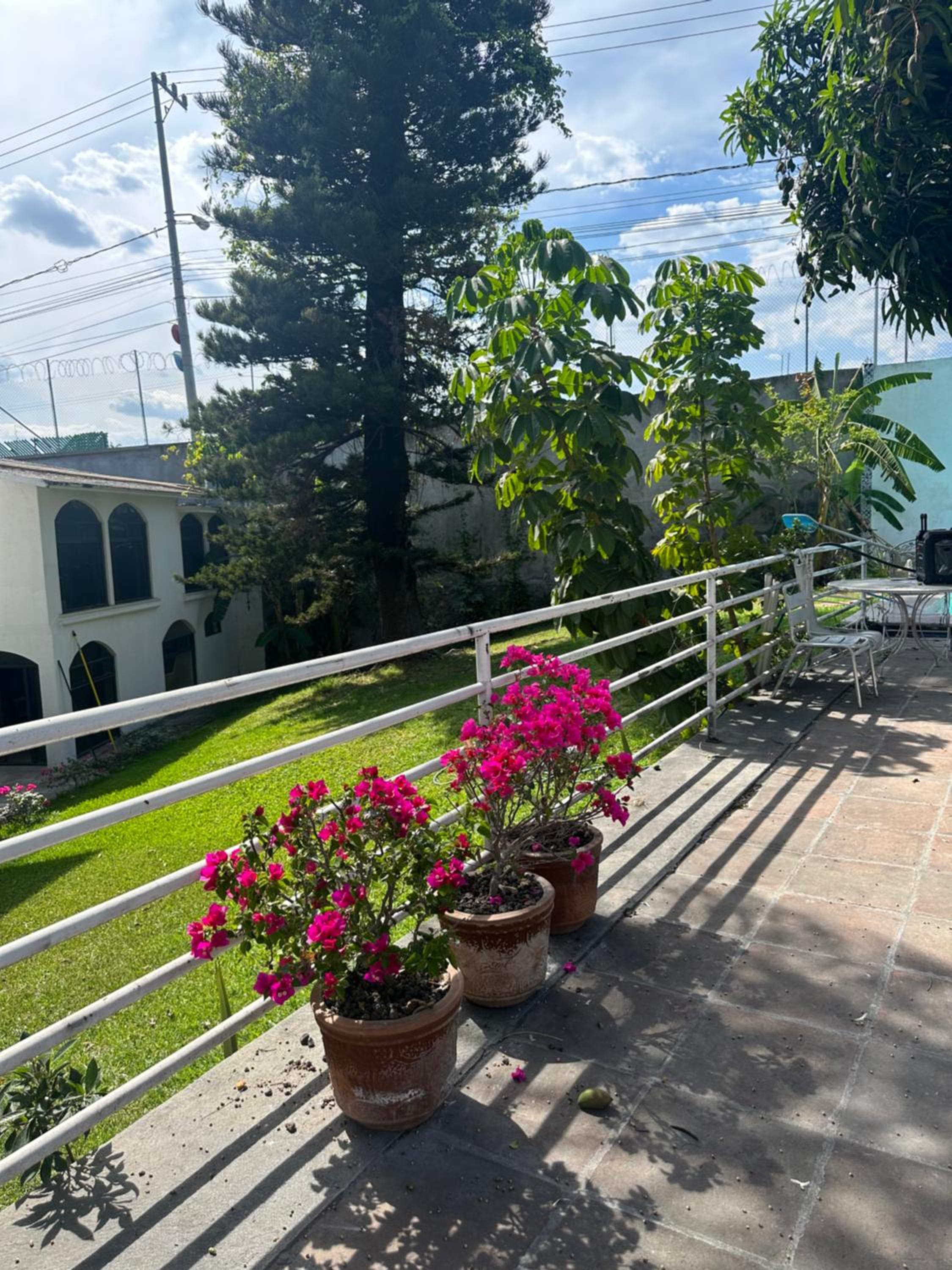 Casa Camelina view 3