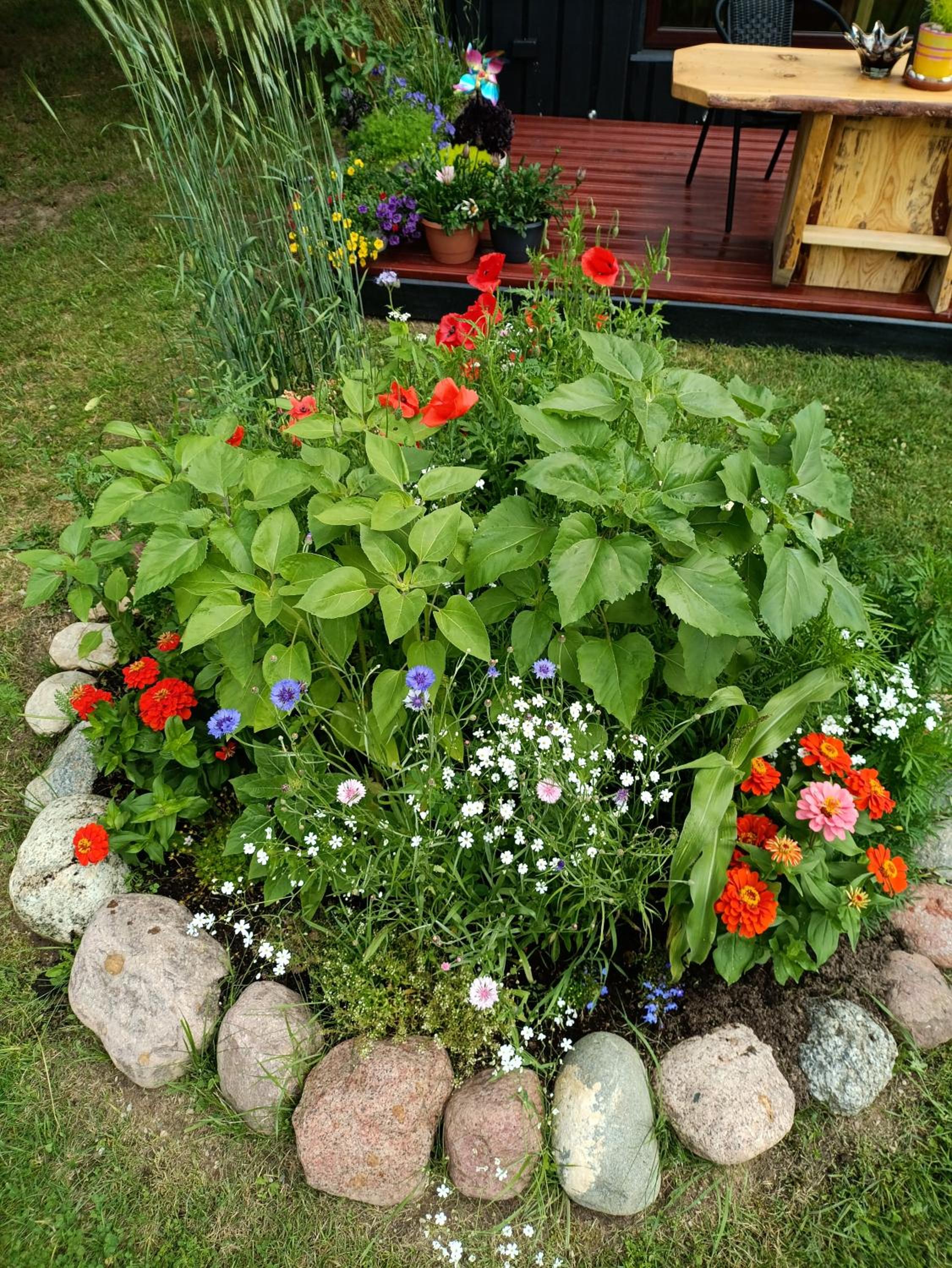 Skujiņa