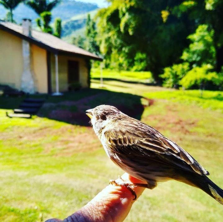 Pouso da Lua