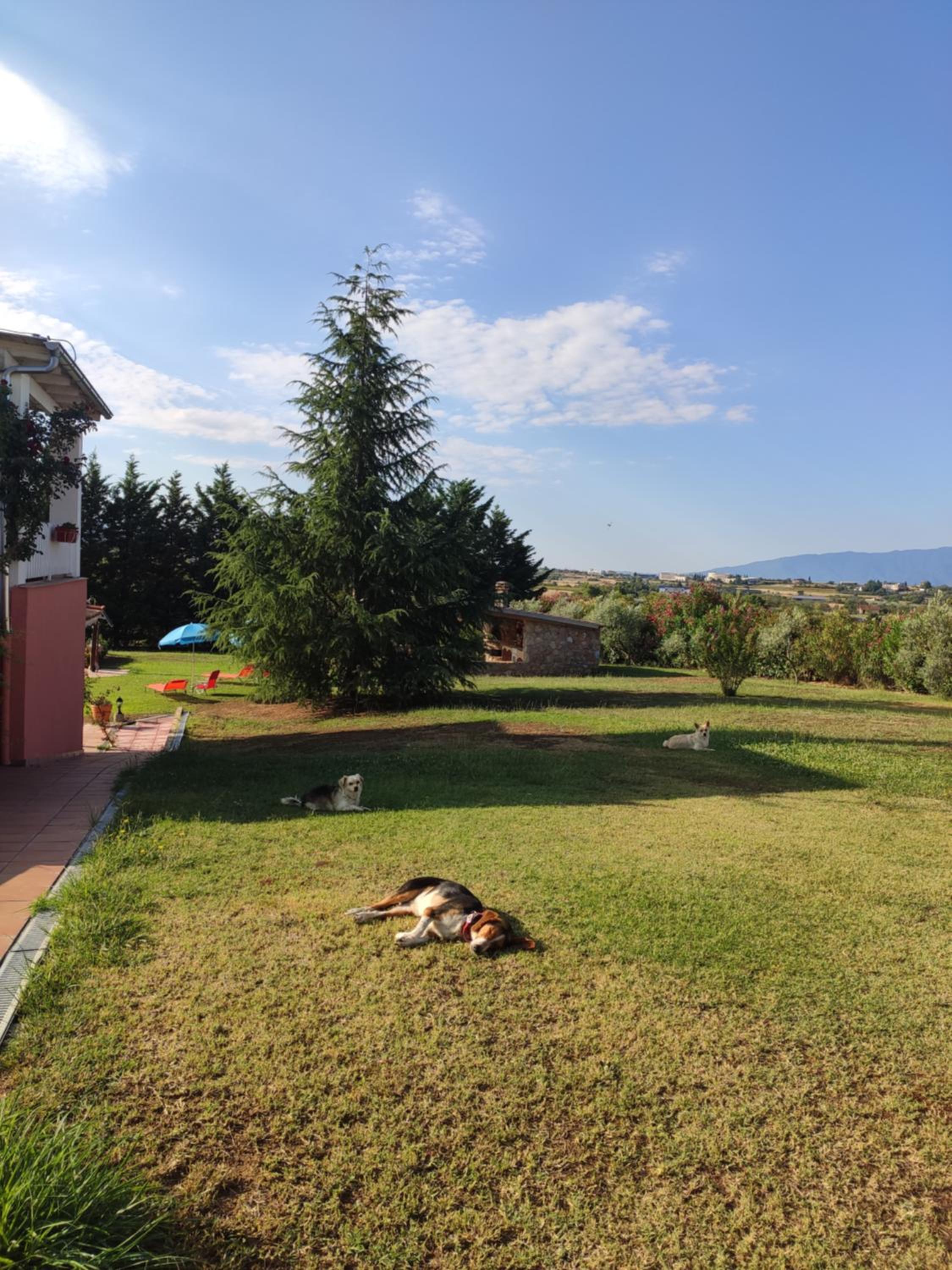 Villa AVRA