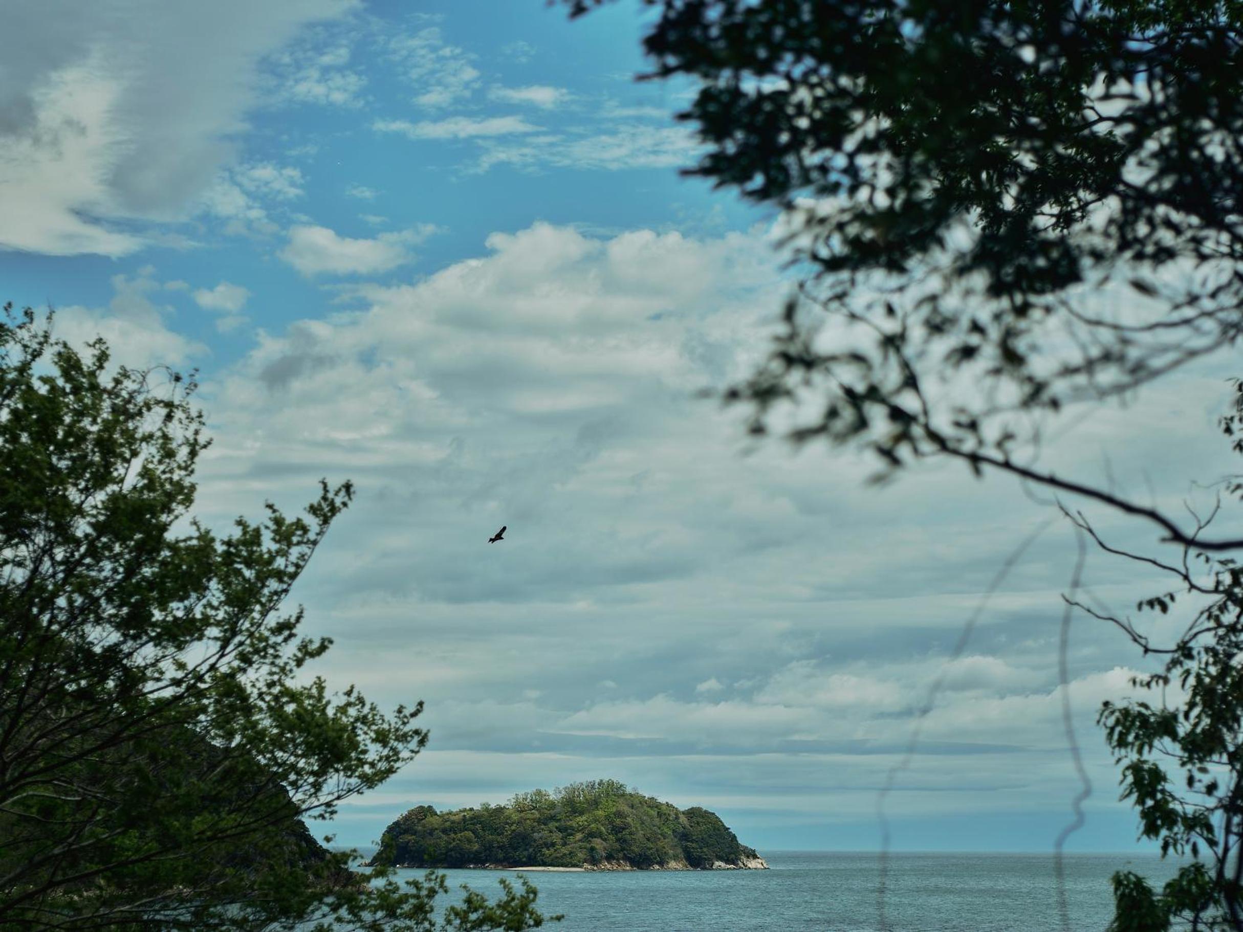 Photo 48