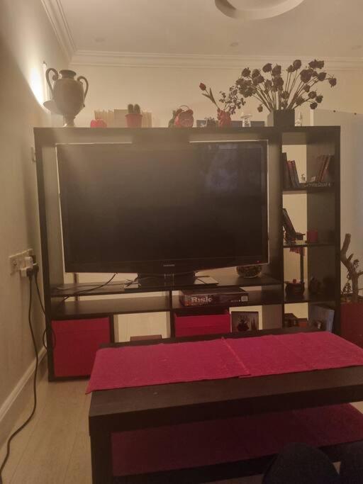 Cozy unique modern apartment