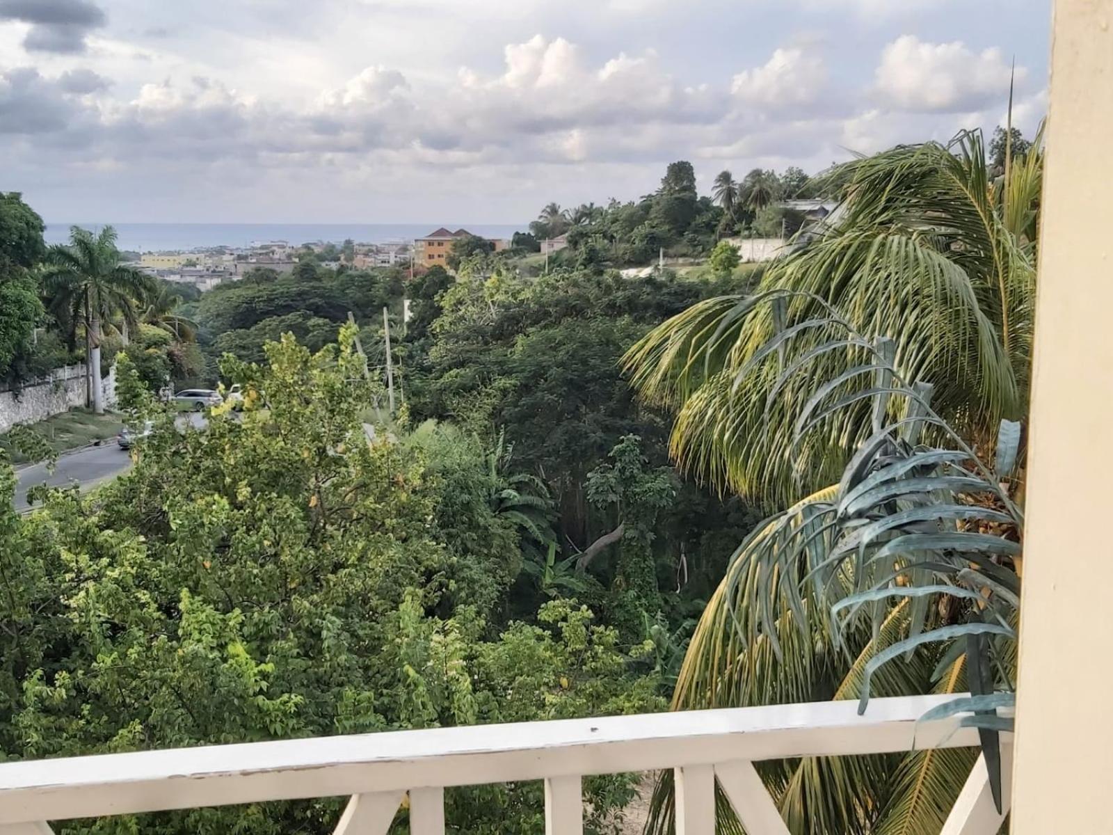 The Island Flat Villa - Near Airport & Beach view 4