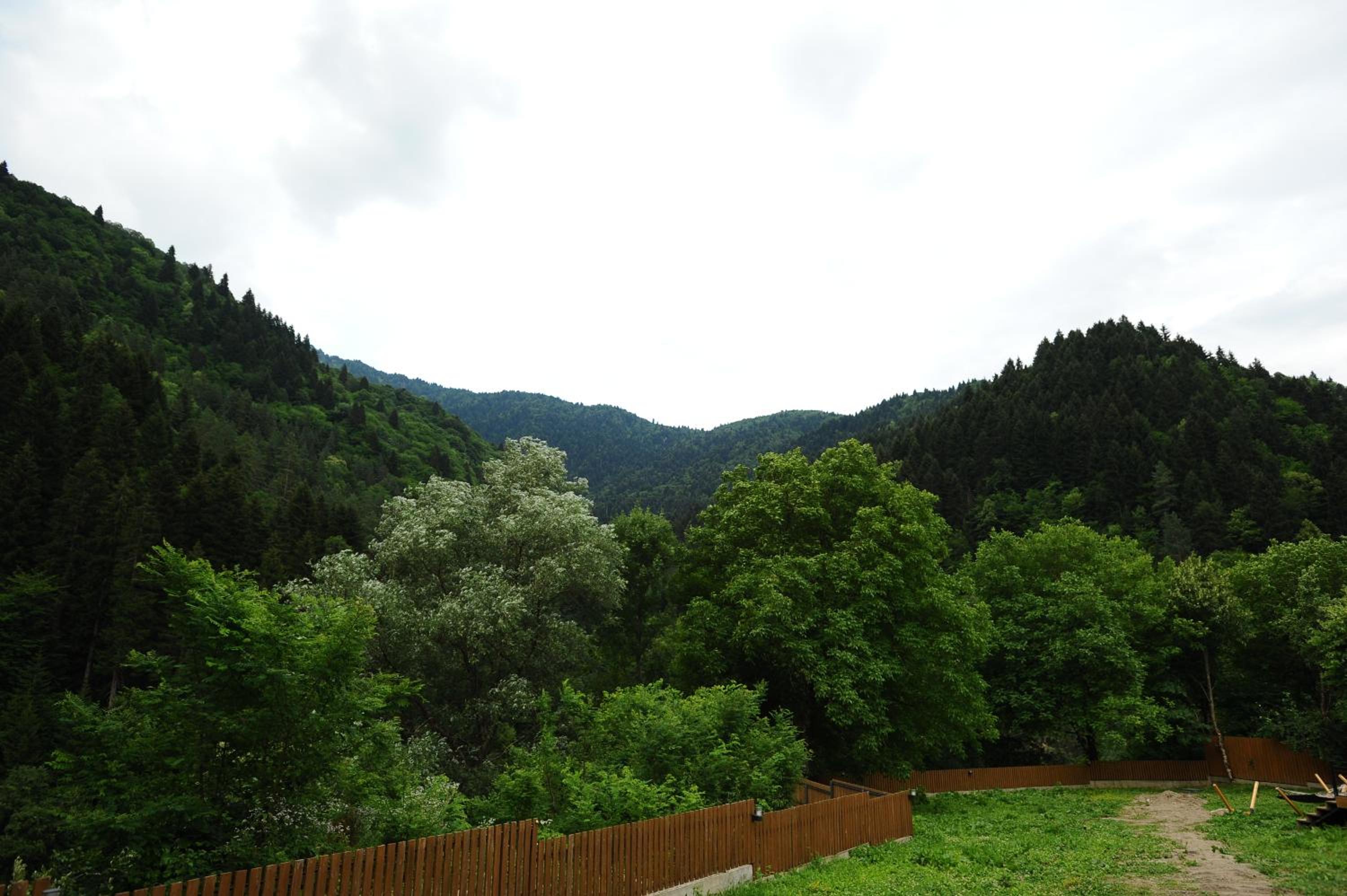 Photo 46