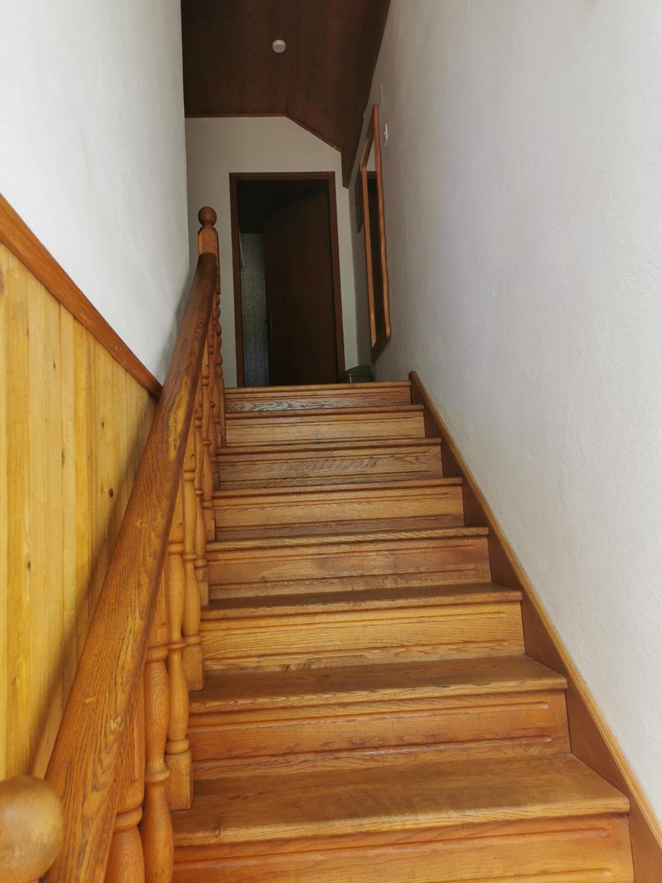 Pine corner Mojkovac