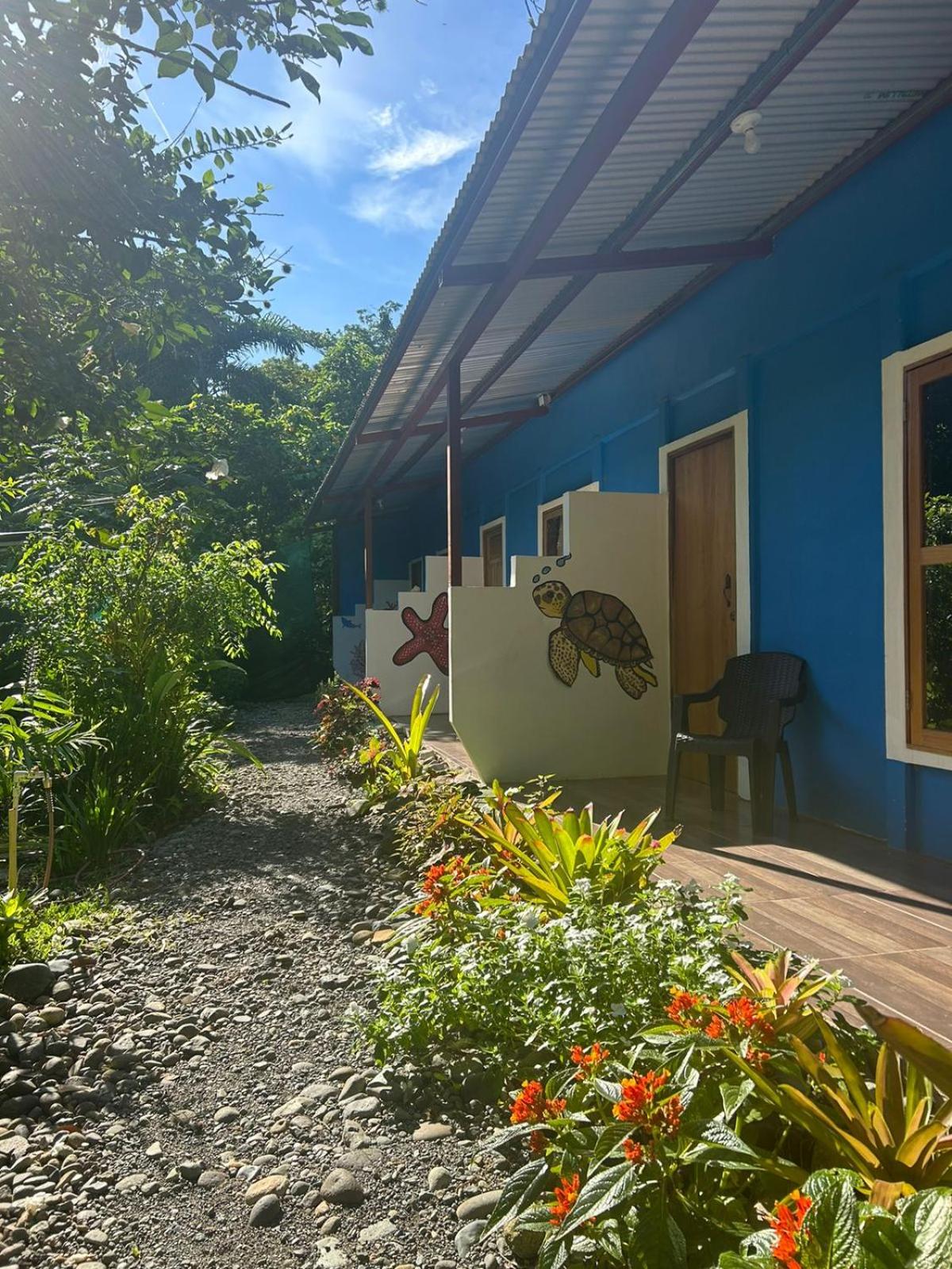 Roan playa chiquita-Tortuguitas