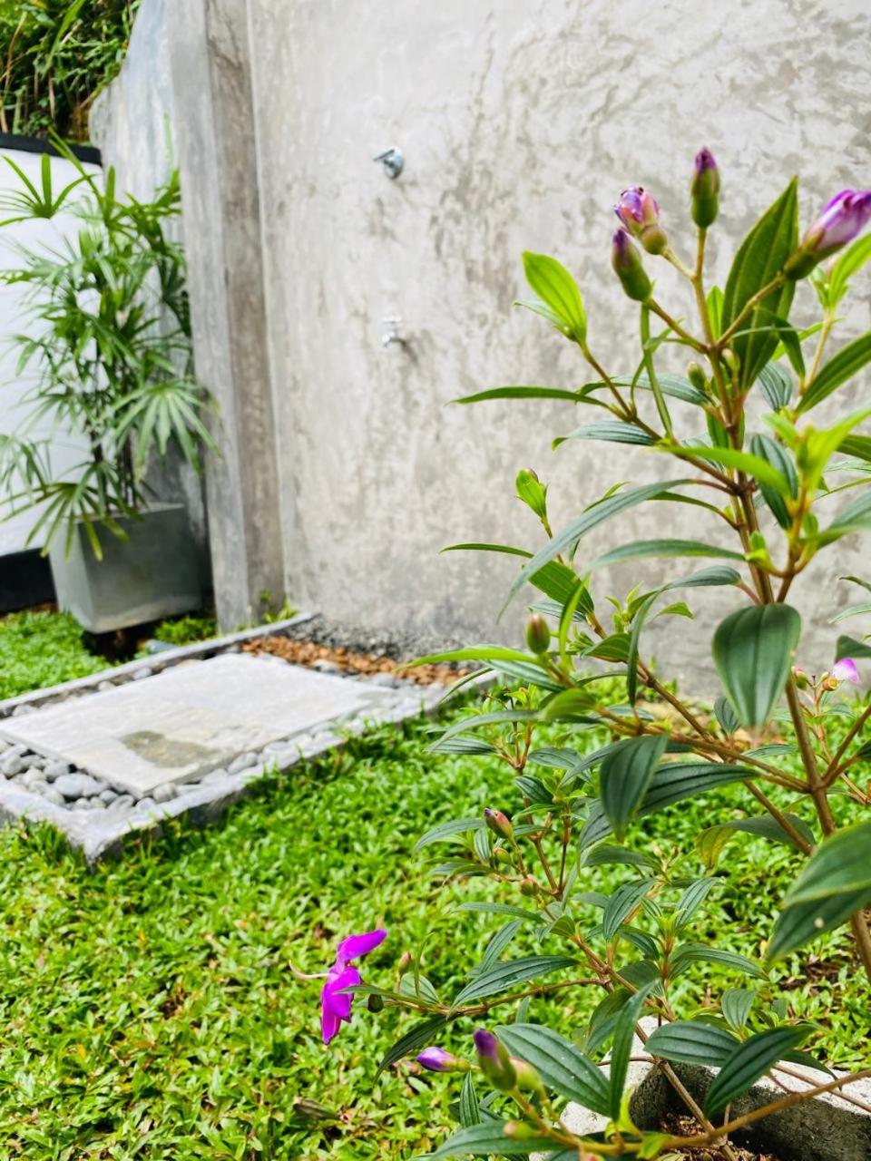 Skyline Villa view 3