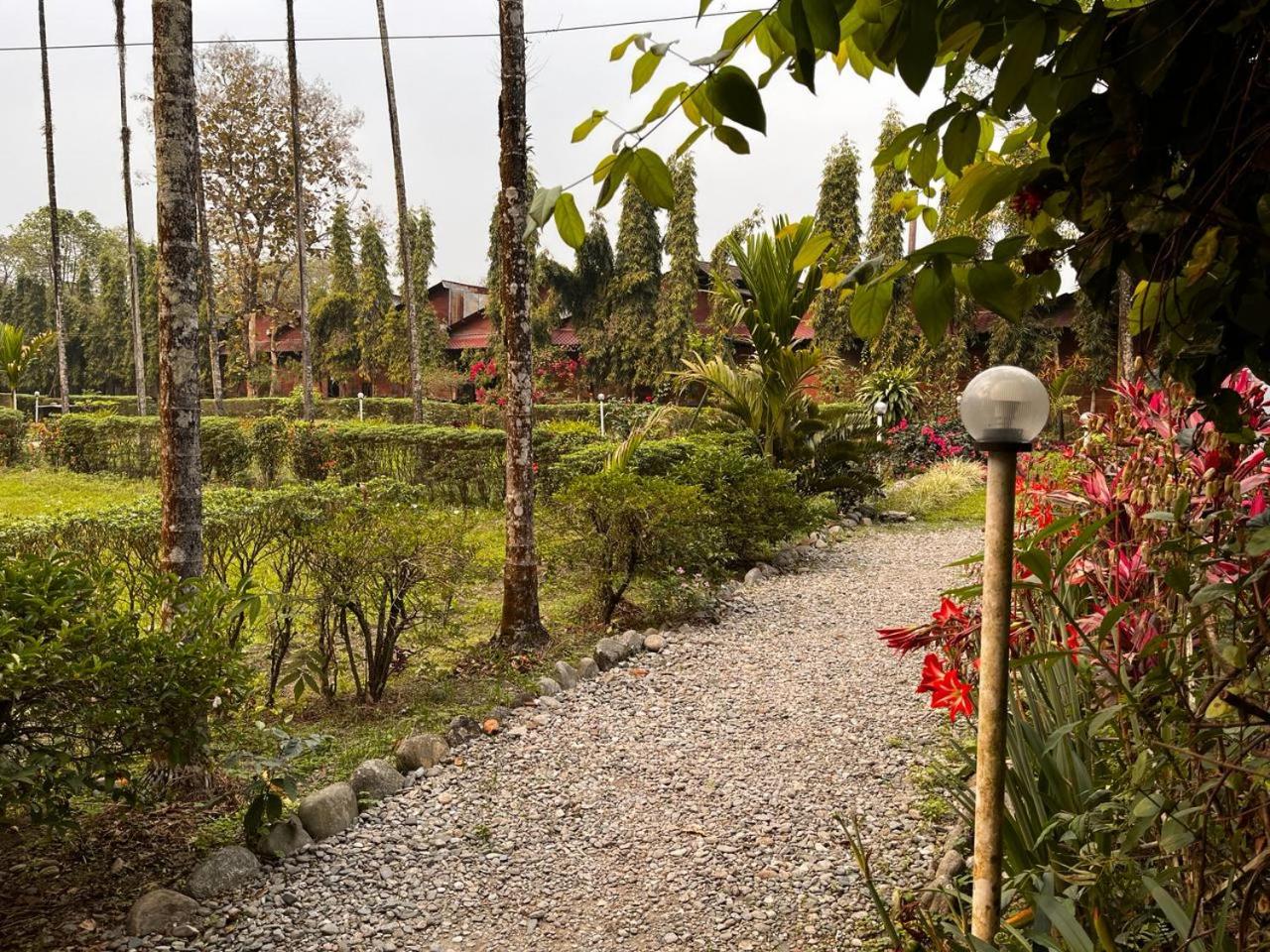 Manabari Greens Heritage Eco Resort Dooars